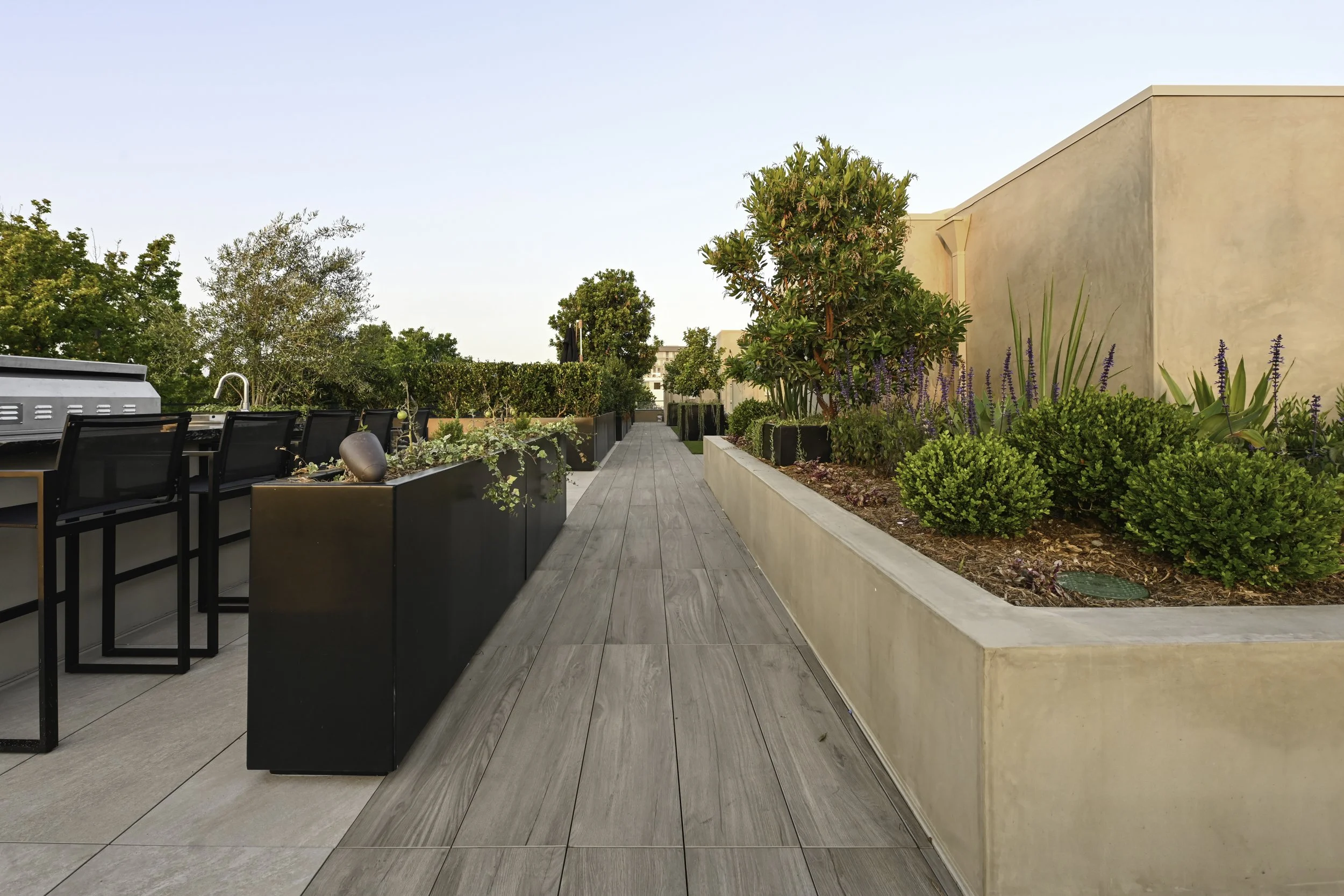 Palma_Roof-6.jpg