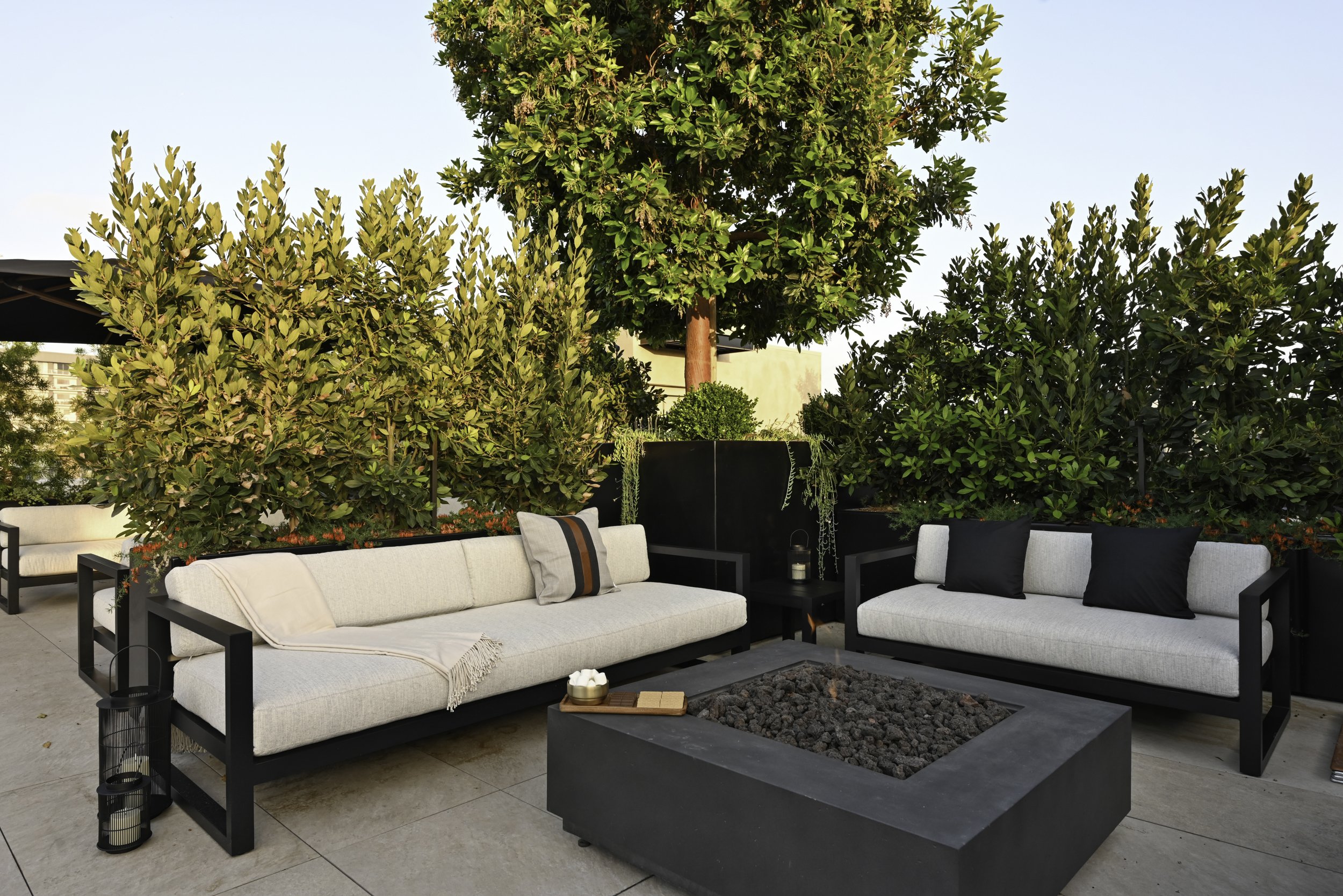Palma_Roof-2.jpg