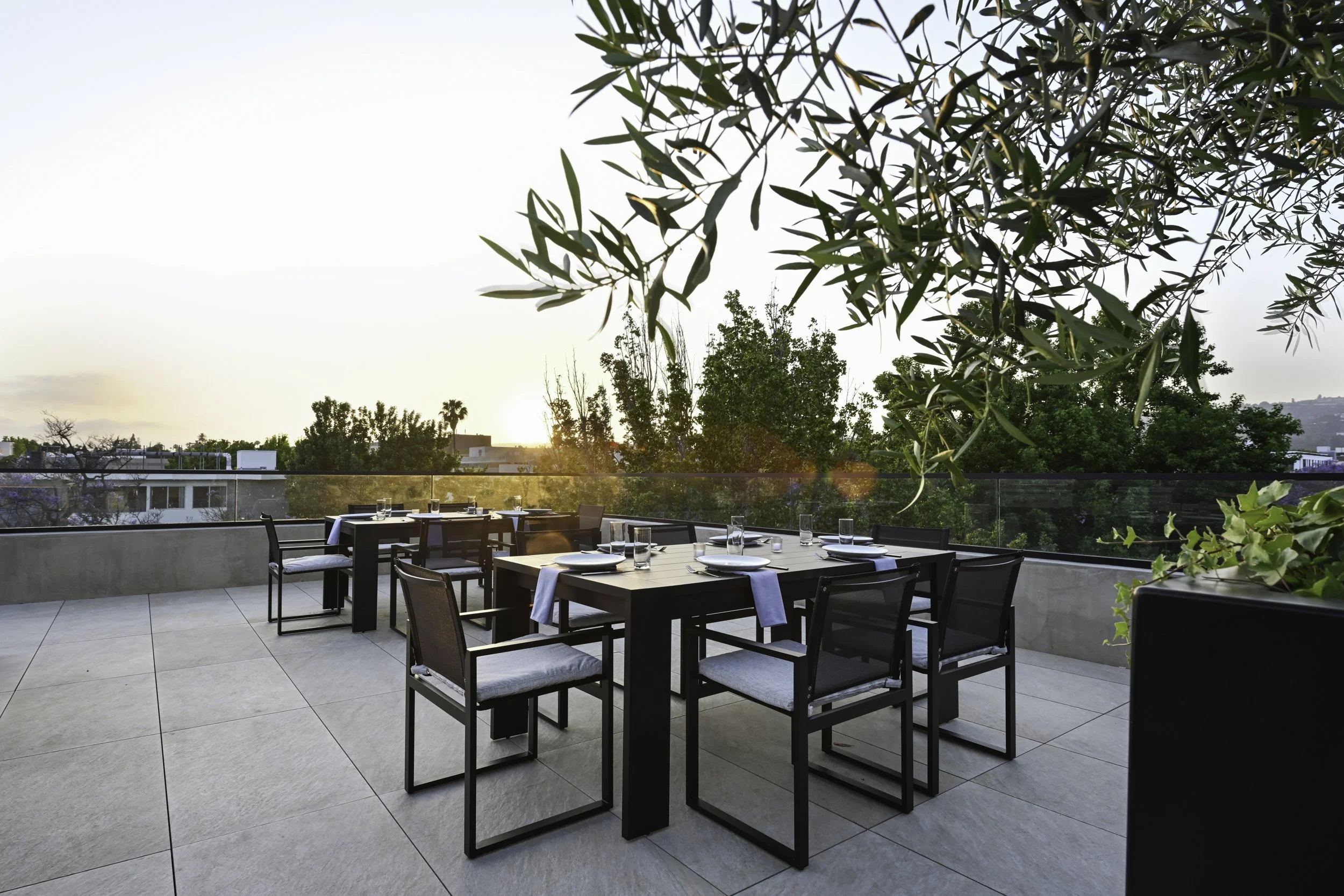 Palma_Roof-5.jpg