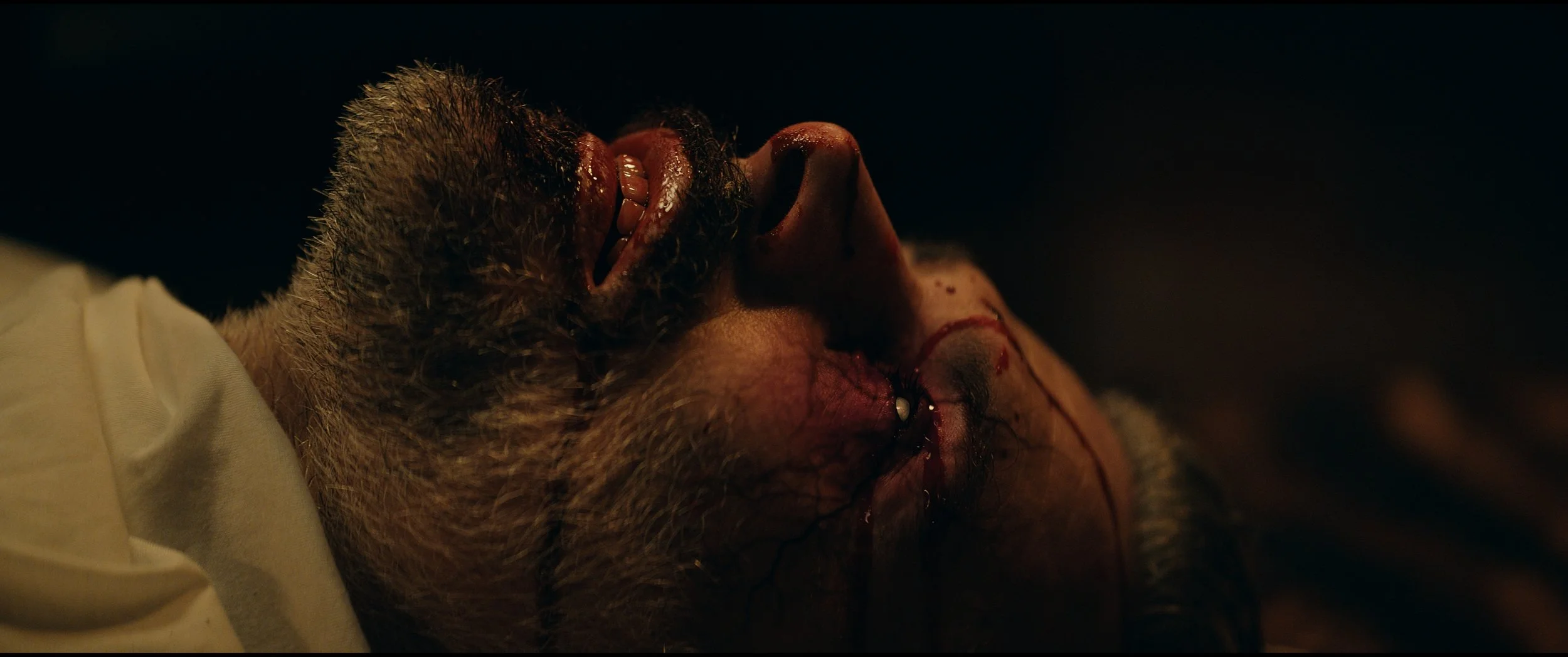 Still 2026-03-10 204046_2.5.1.jpg