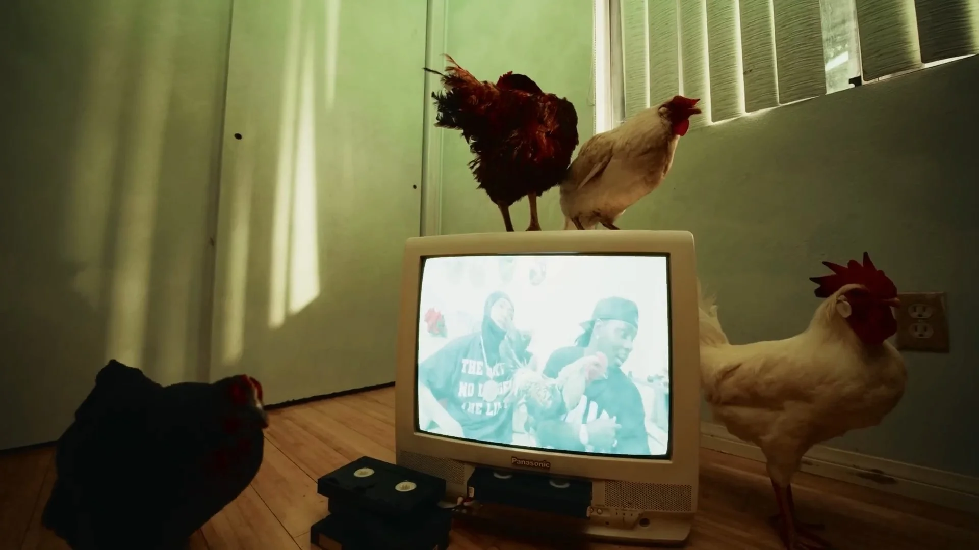 Timeline 2_01_01_13_17.jpg