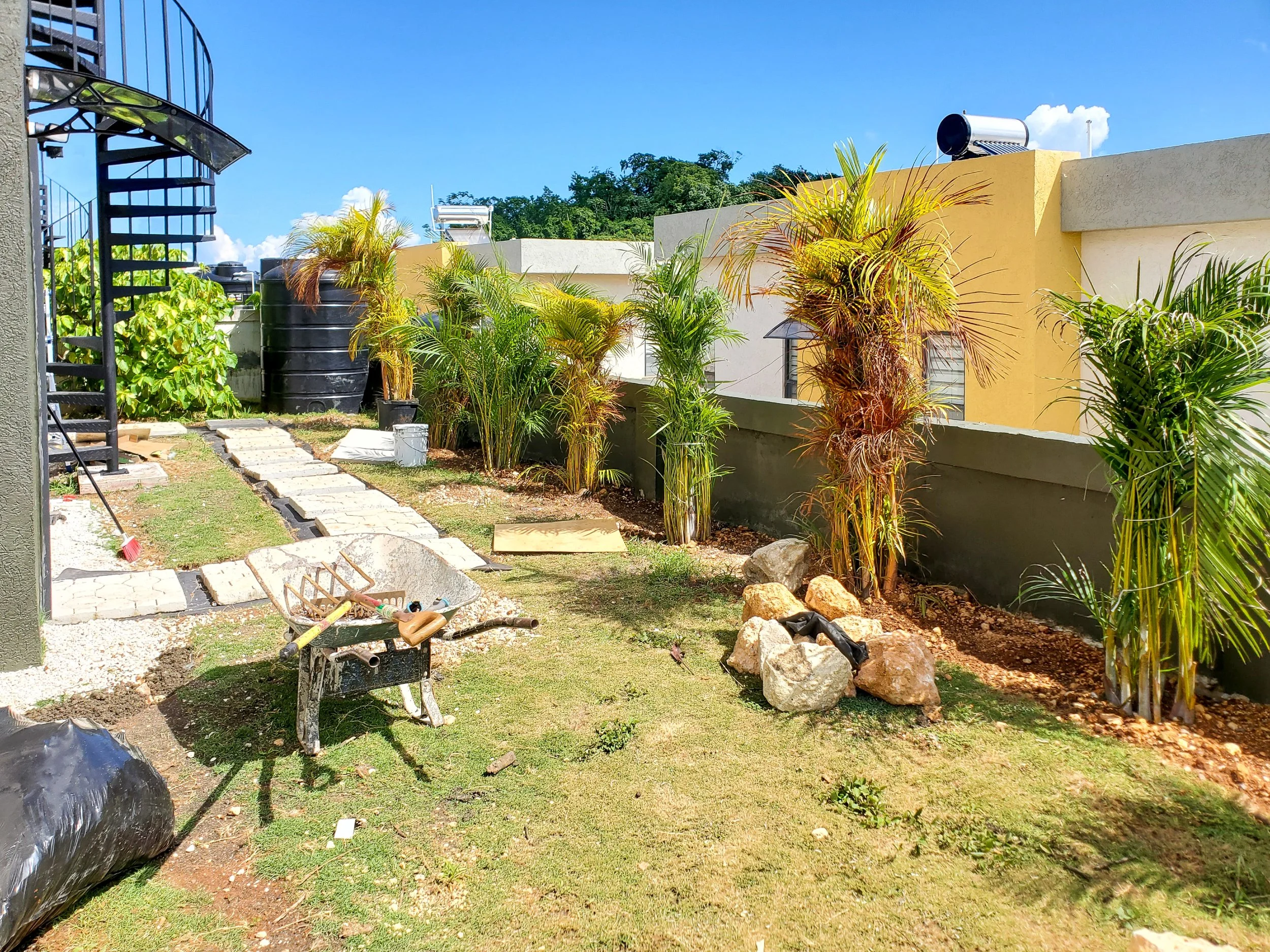 Before photo of a backyard landscape in Jamaica during the early construction phase, showing soil preparation, pathway layout, and newly planted palms before AurumScape’s landscape design transformation.