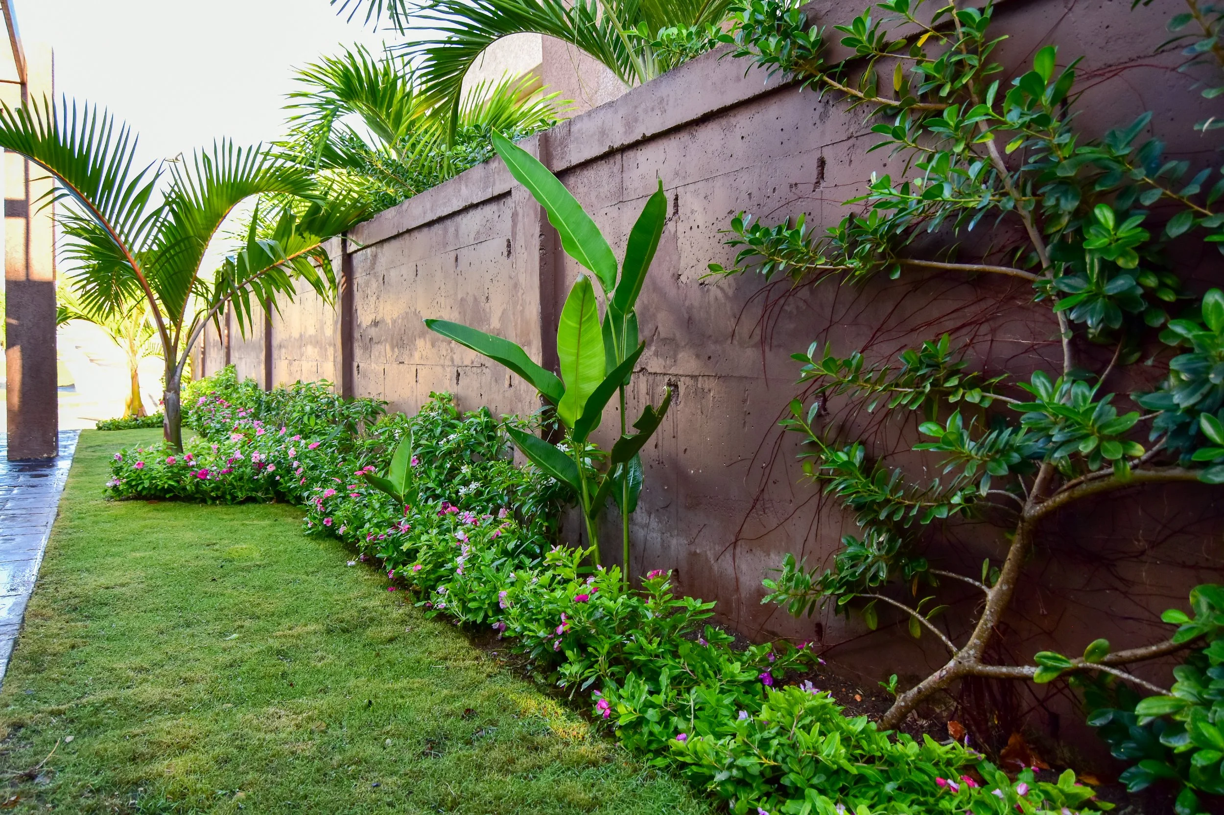 tropical-garden-border-landscaping-st-ann-jamaica..jpg