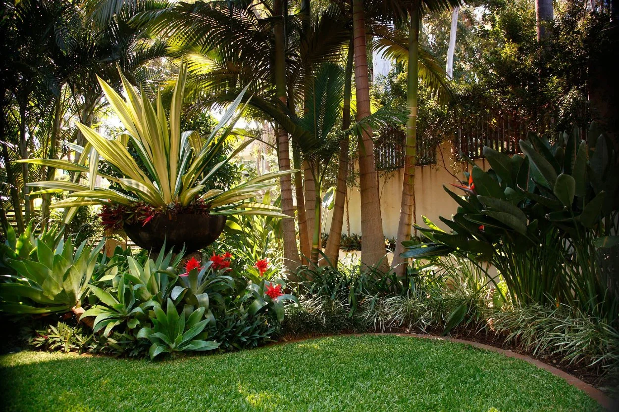 Ultimate Tropical Garden Design Guide (Jamaica Edition)