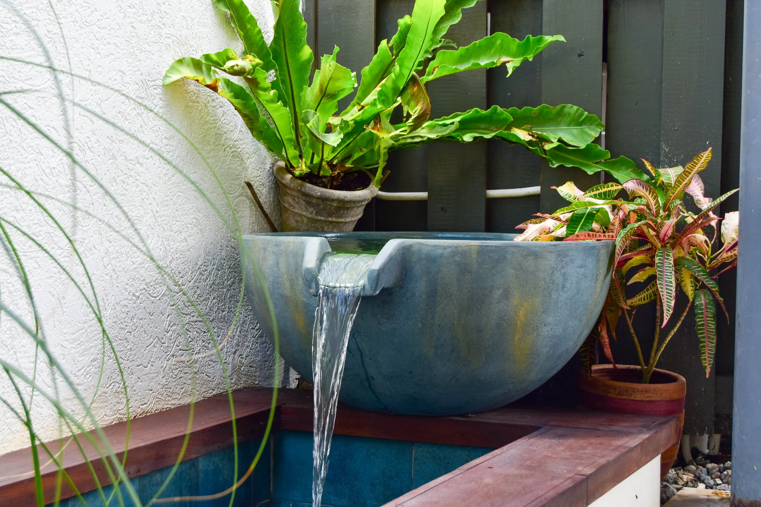 Luxury Water Features for Modern Tropical Homes (Jamaica Edition)