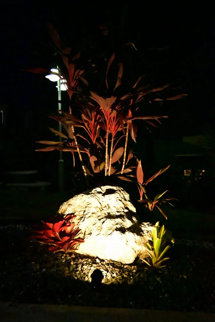 Accent spotlight illuminating a large decorative rock and colorful tropical plants at night, creating dramatic contrast and focal-point lighting.