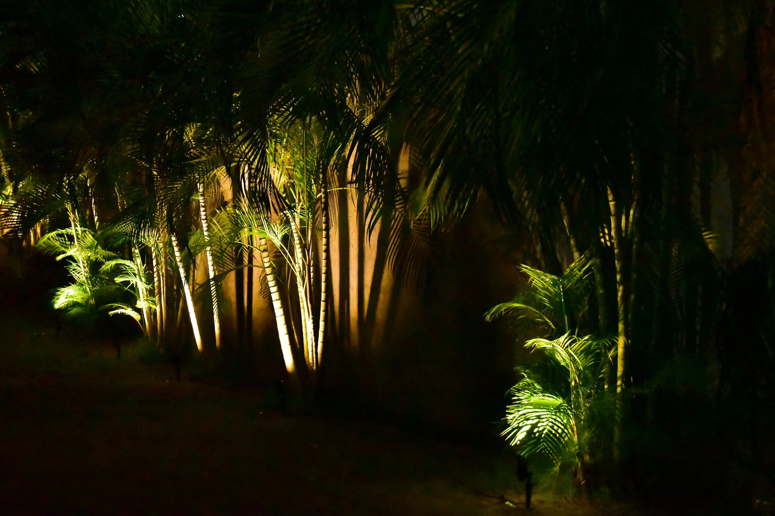 palm-uplighting-depth-shadow-landscape-lighting-beverly-hills-kingston.jpg