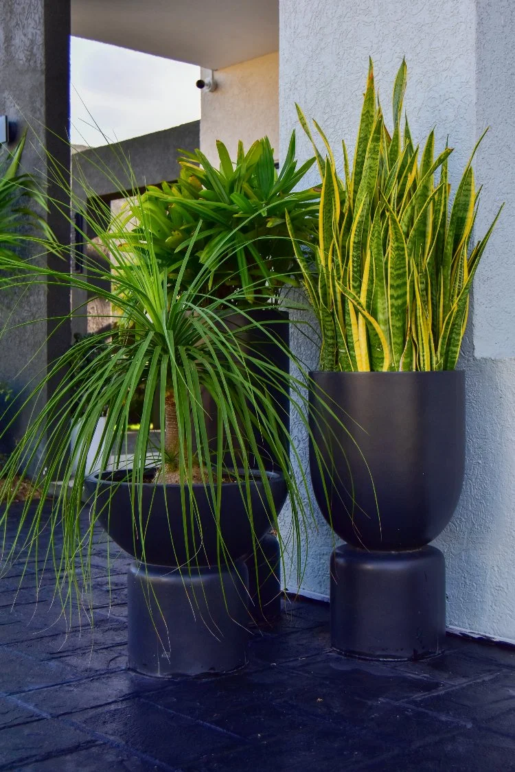 Outdoor-planter-pots.jpg