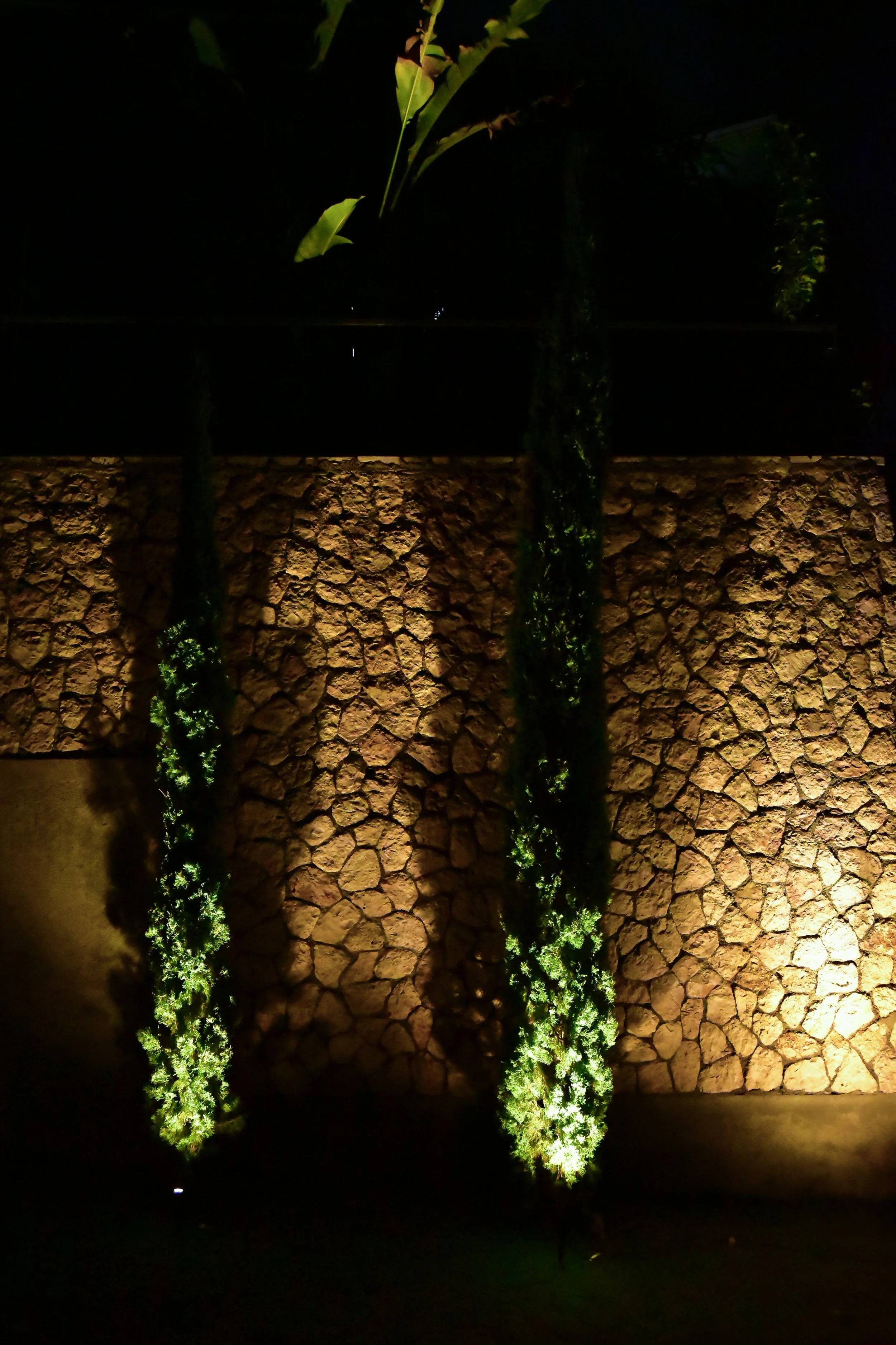 stone-wall-uplighting-vertical-evergreen-landscape-lighting-beverly-hills-kingston.jpg