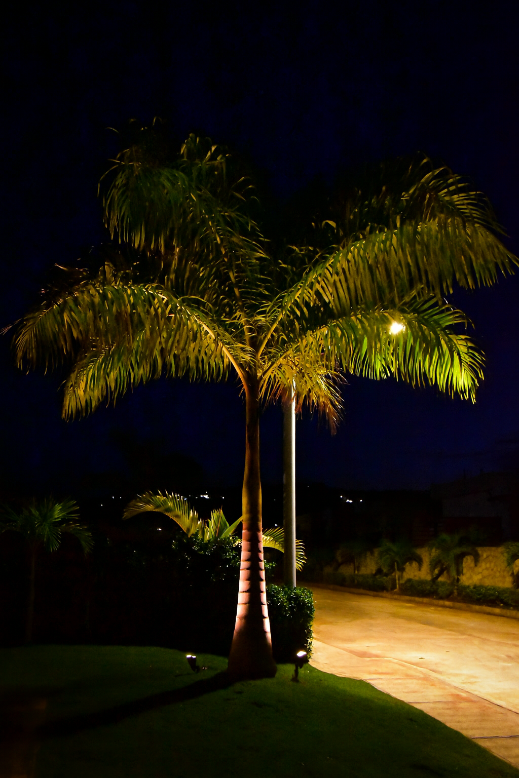 ChatGPT Image Dec 10, 2025, 08_12_40 PM.png