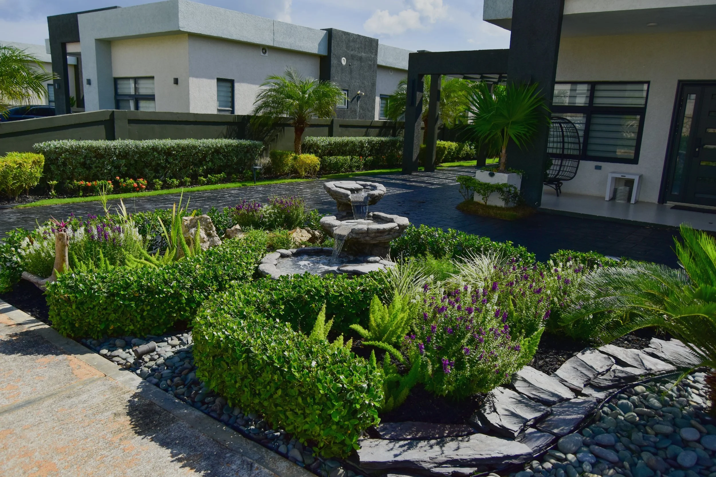 Modern tropical front yard garden with layered planting, stone water fountain, hedges and palms in St. Ann, Jamaica – designed by AurumScape
