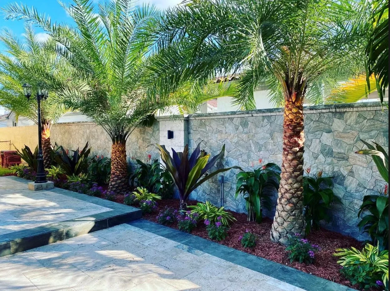 Lush layered tropical garden with mature palms, bold foliage plants, and colourful groundcover, designed by AurumScape for a modern Jamaican outdoor space.
