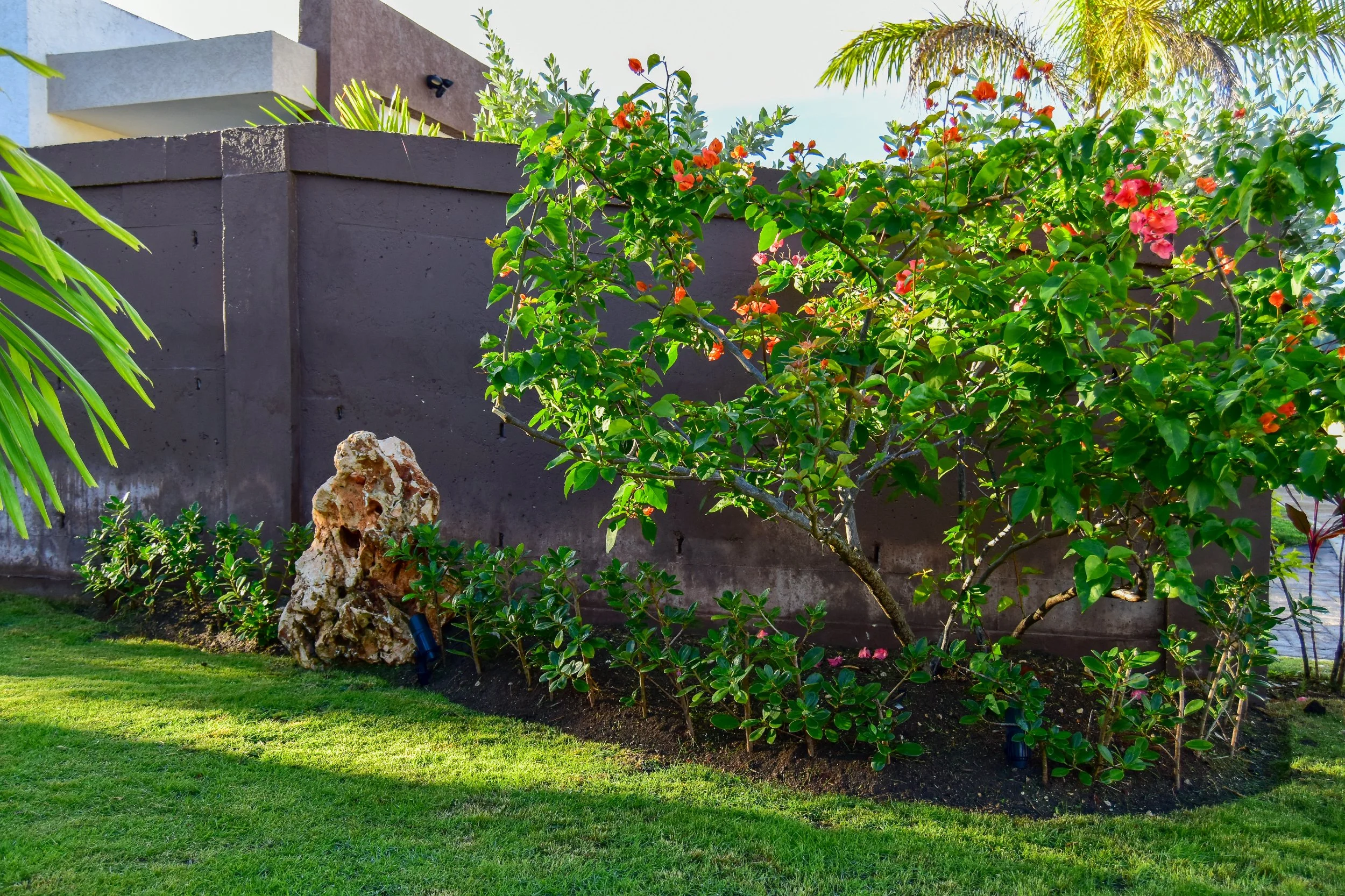 bougainvillea-garden-feature-st-ann-jamaica.jpg