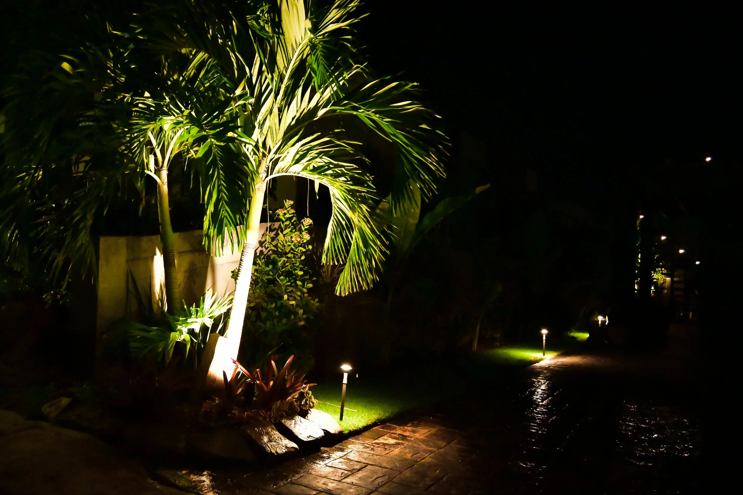 Luxury LED landscape lighting illuminating tall palms  at night in Jamaica.