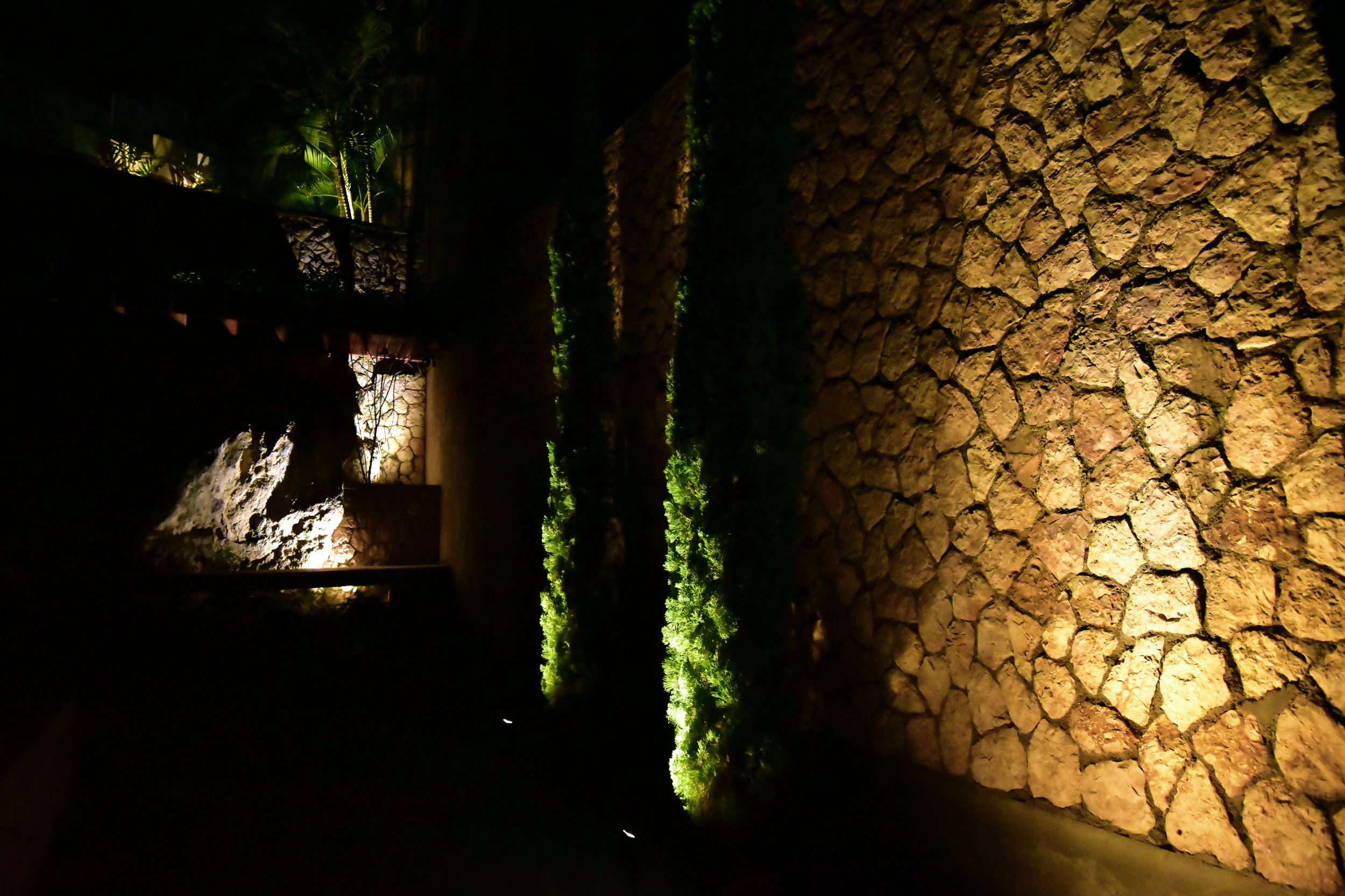 stone-wall-uplighting-cypress-accents-landscape-lighting-beverly-hills-kingston.jpg