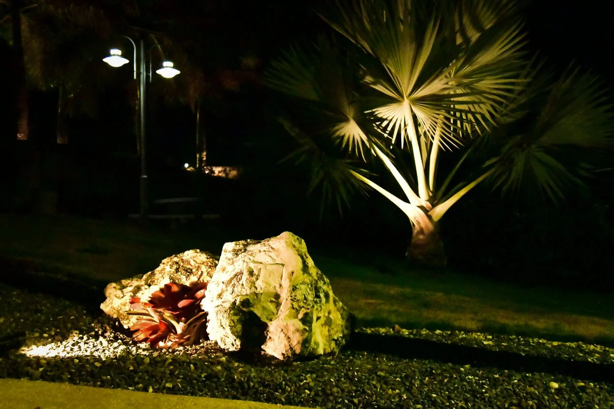 Tropical garden at night with dramatic uplighting highlighting palm trees, boulders, and accent plants in a modern Jamaican landscape designed by AurumScape.
