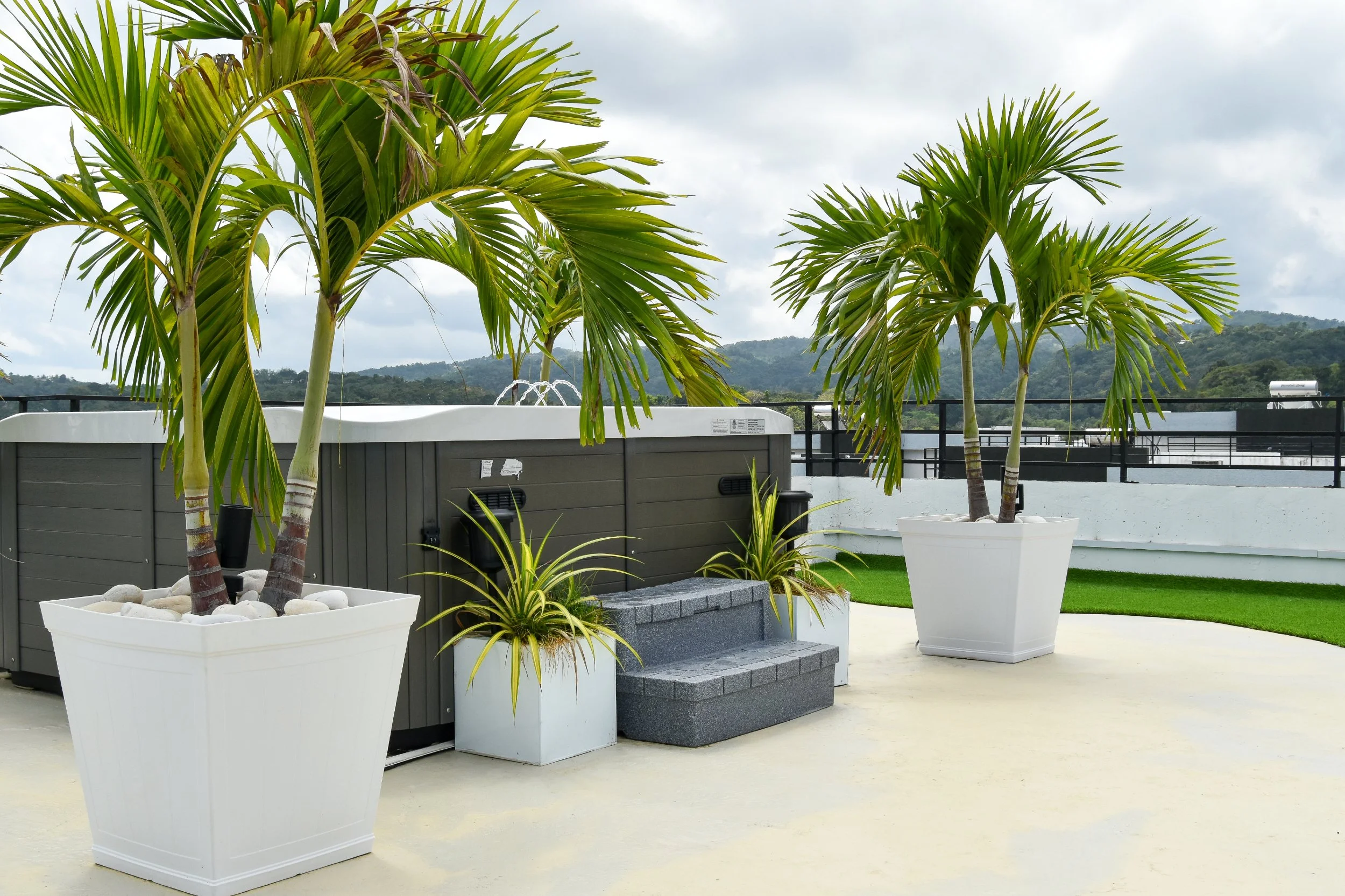rooftop-jacuzzi-landscaping-design-with-potted-palms-aurumscape.jpg