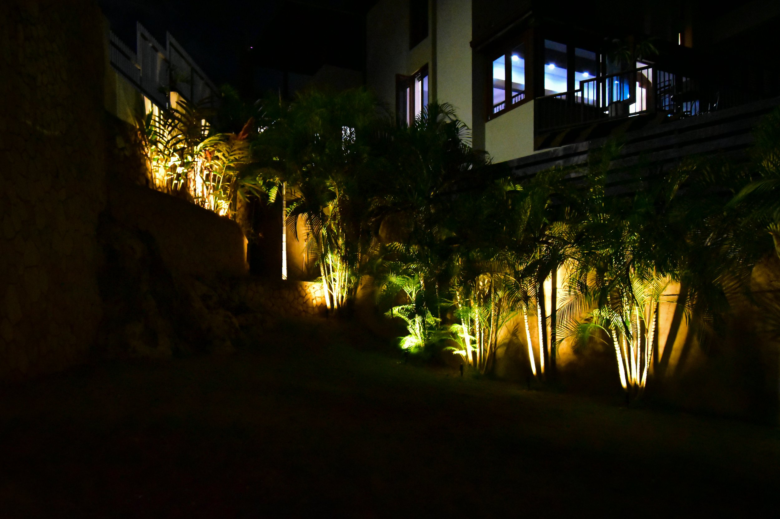 landscape-lighting-areca-palms-beverly-hills-kingston-jamaica.jpg