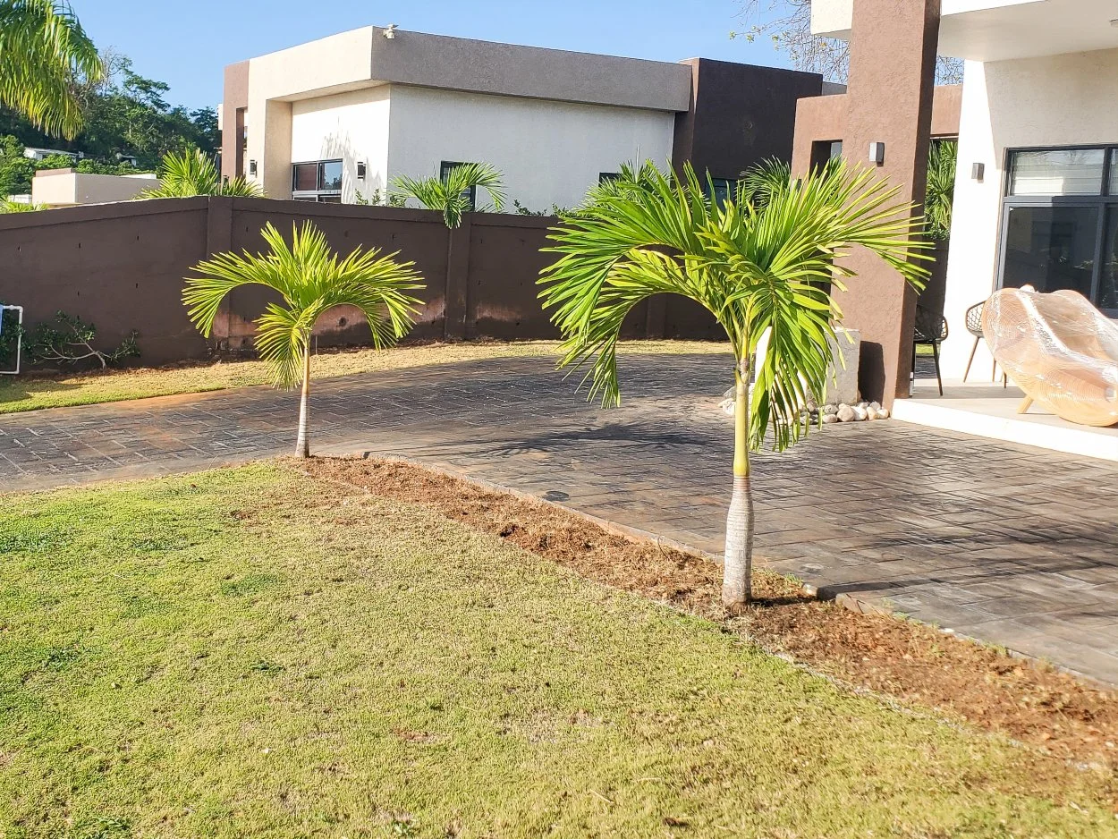 landscaping-before-installation-tropical-garden-jamaica.jpg