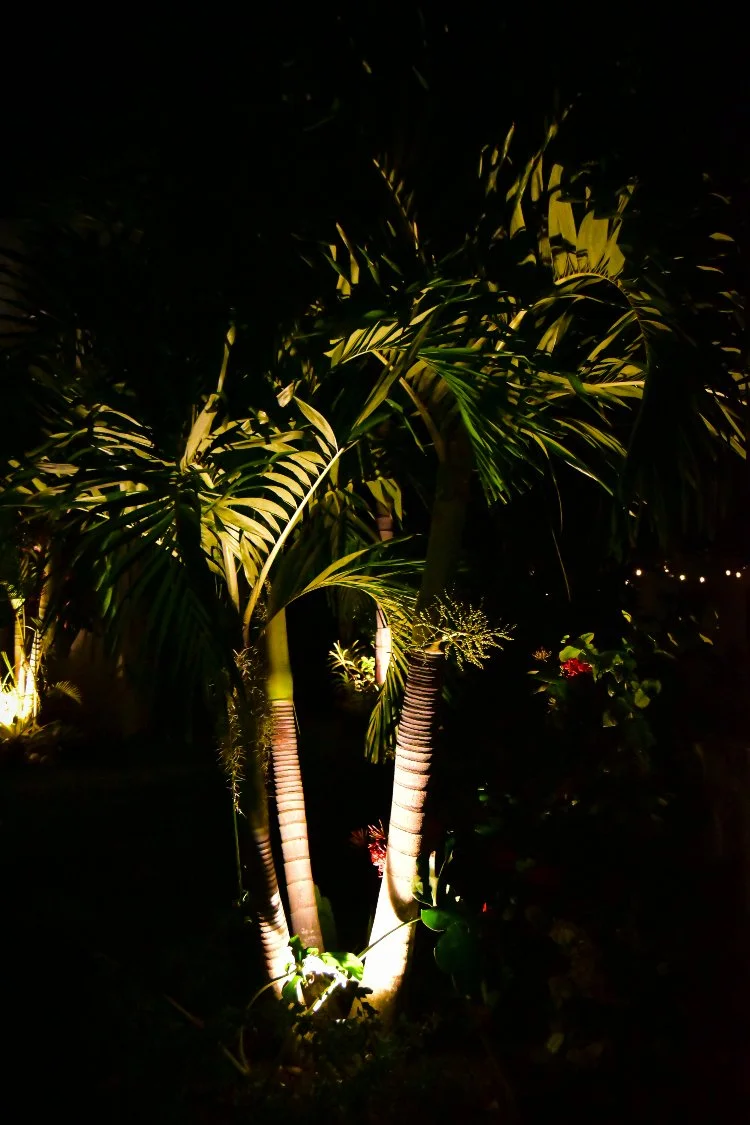 residential-landscape-lighting-palm-tree-uplighting-ocho-rios-jamaica-aurumscape.jpg