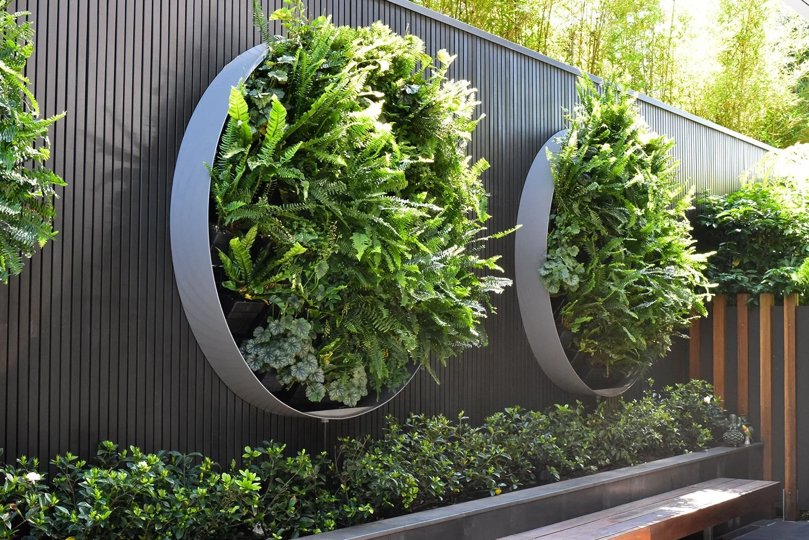 Modern vertical garden design featuring large circular planters filled with lush tropical greenery mounted on a contemporary slatted wall