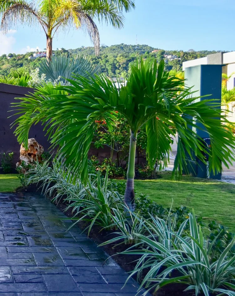 tropical-garden-design.jpg