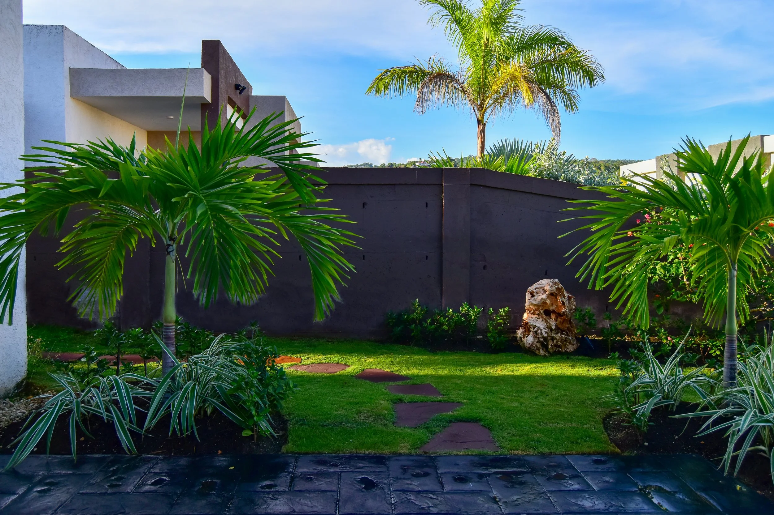 Modern tropical backyard with palms, stepping stone pathway, feature rock and layered planting in St. Ann, Jamaica — designed by AurumScape