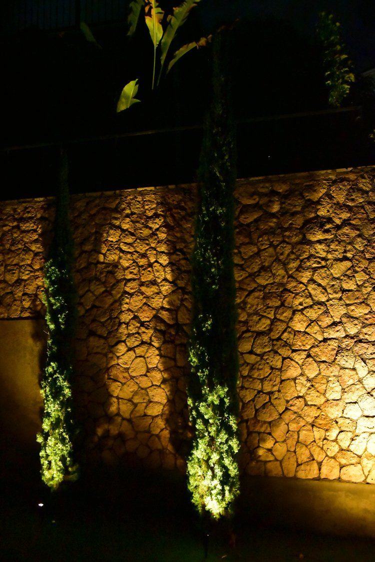 Luxury LED landscape lighting illuminating tall evergreens and a textured stone wall at night in Jamaica.