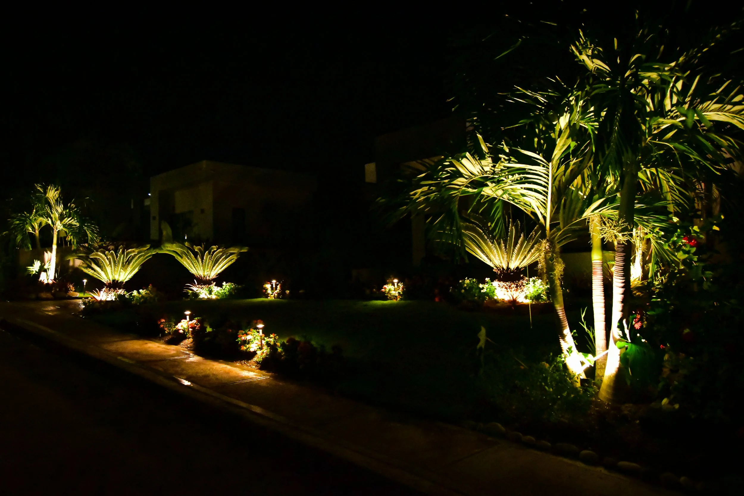 residential-landscape-lighting-front-yard-uplighting-ocho-rios-jamaica-aurumscape.jpg