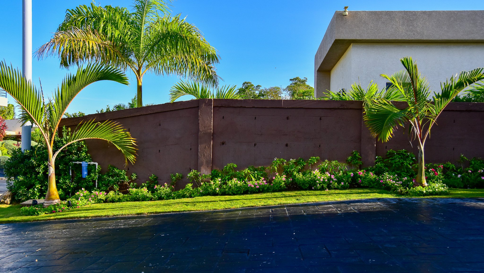 After picture for landscape design project showing beautiful transformation o the space with bottle palms, evatima shrubs and periwinkle flowers