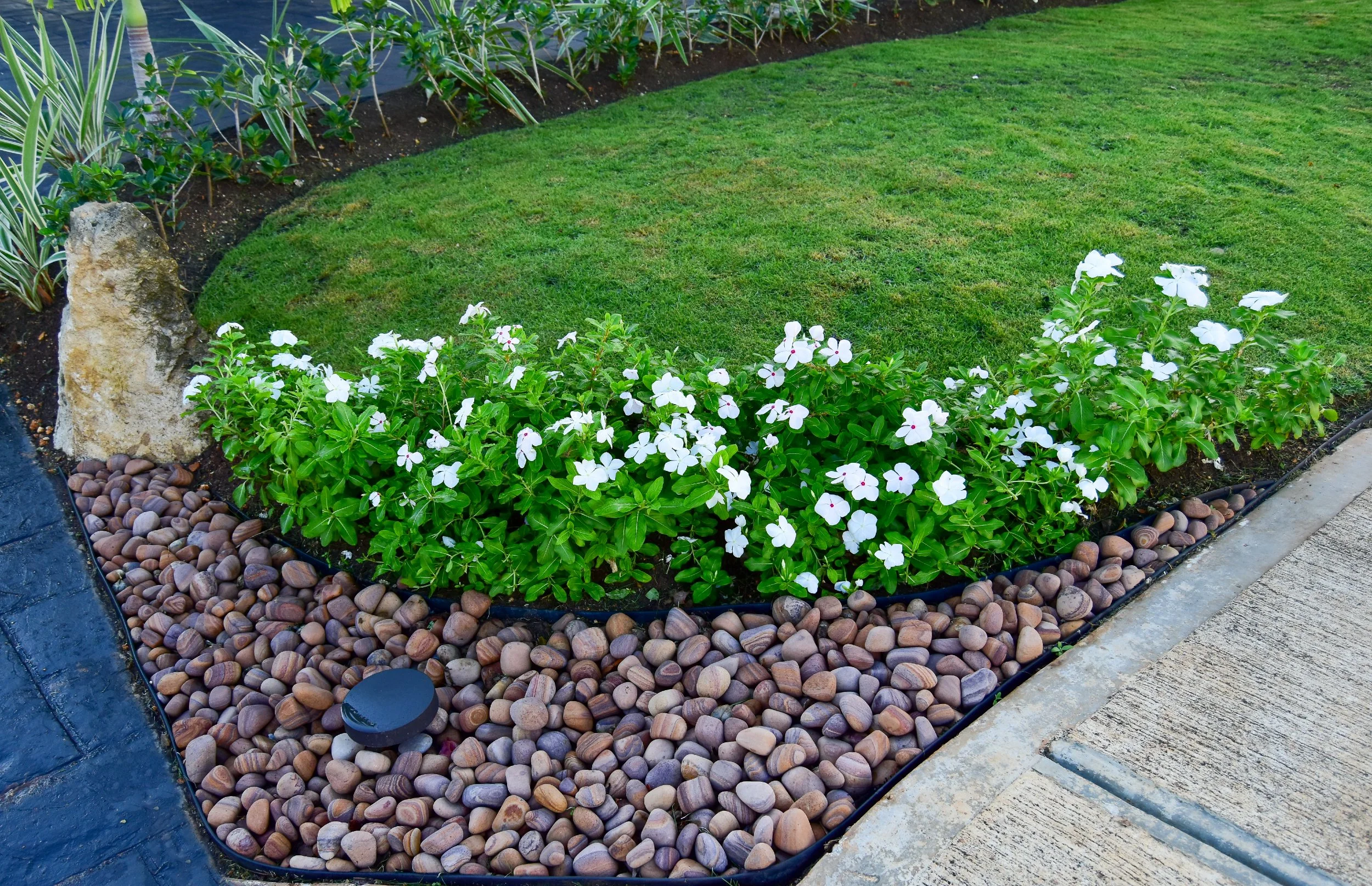 flower-bed-decorative-stones-ocho-rios-jamaica.jpg