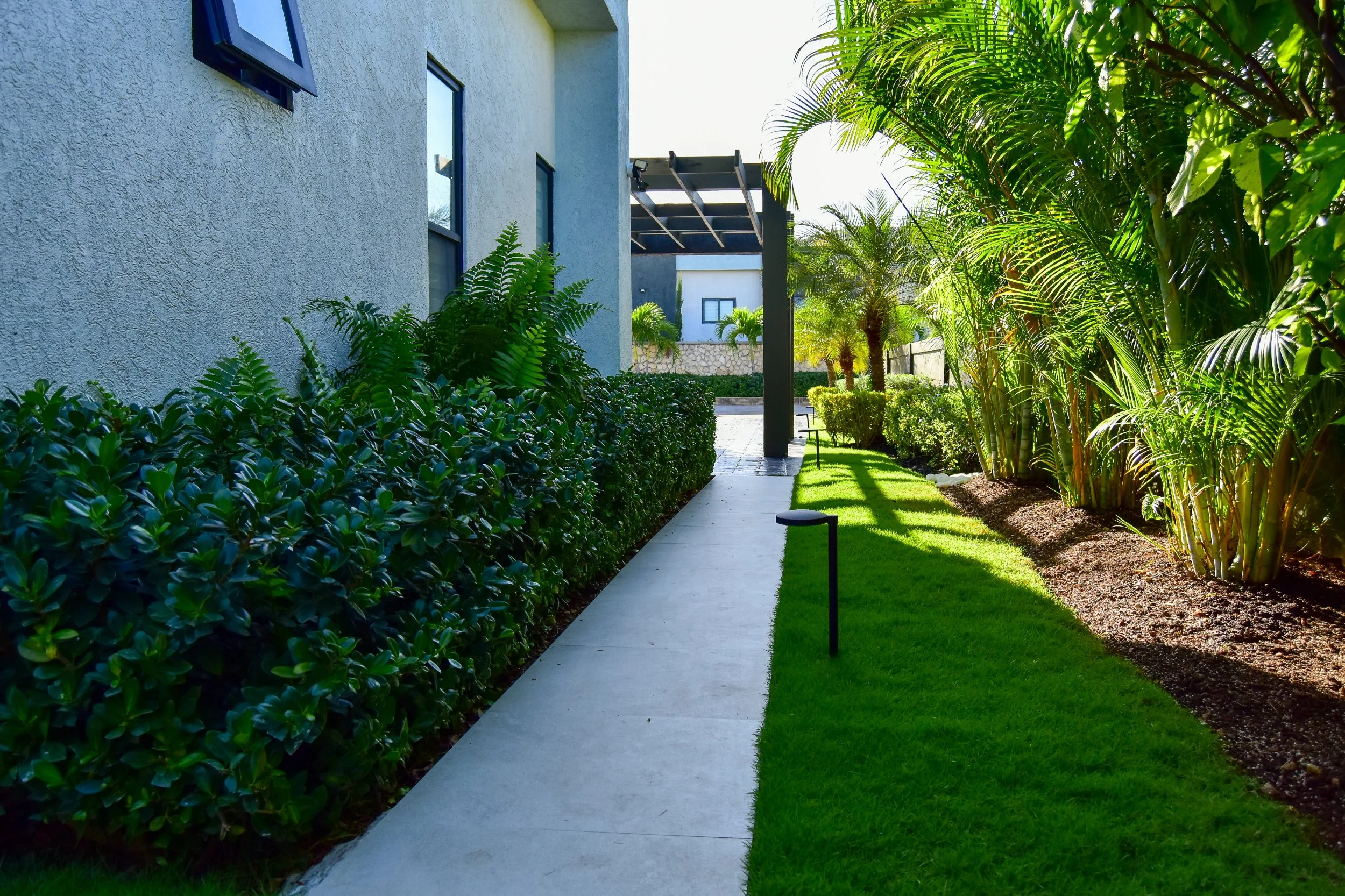walkway-flanked-by-ferns-and-areca-palms.jpg
