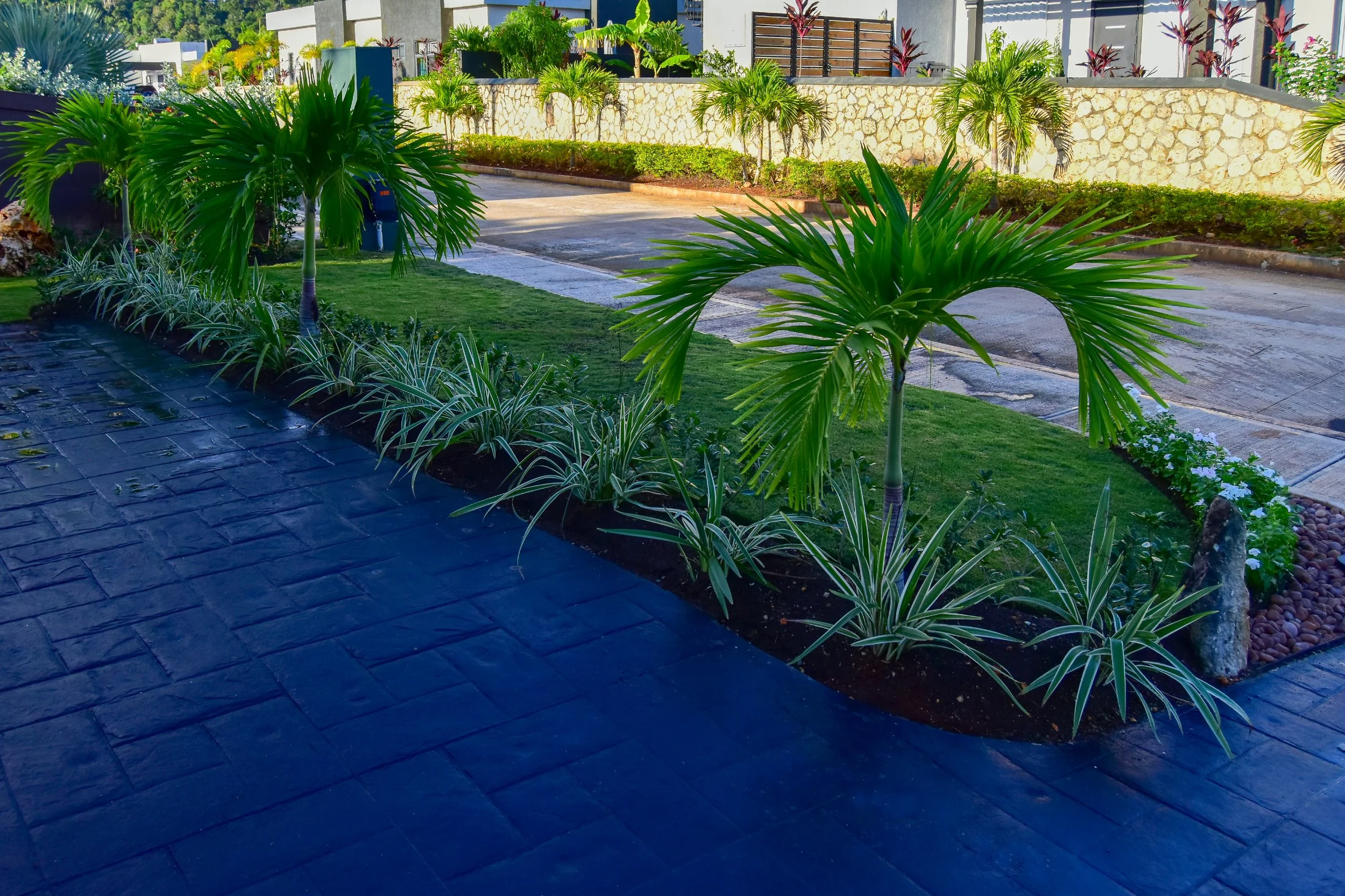 driveway-garden-design-ocho-rios-jamaica.jpg