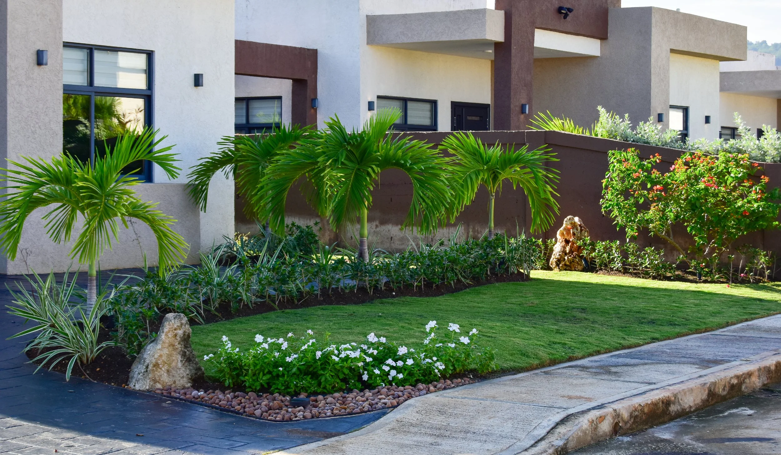 tropical-front-yard-design-st-ann-jamaica.jpg