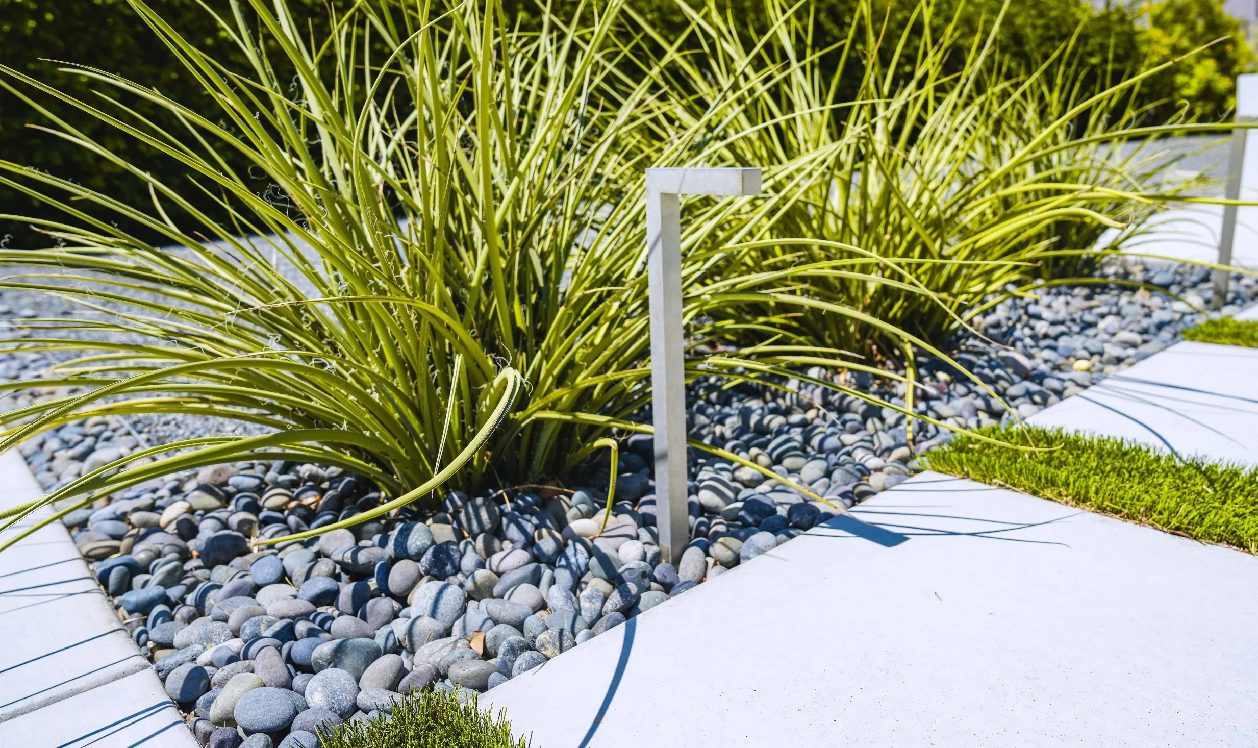 Drought tolerant landscaping and path lighting in Jamaica