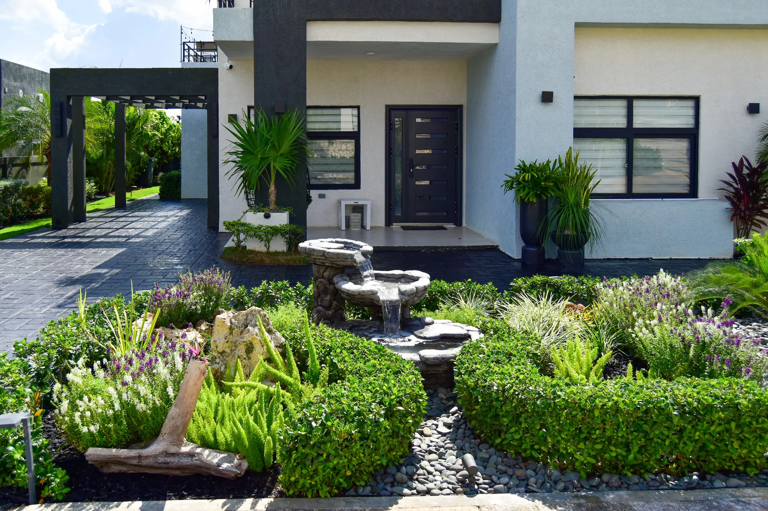 Wide-angle view of a modern tropical front yard designed by AurumScape, featuring a multi-tier water feature, layered planting, hedged borders, and a clean architectural entryway.