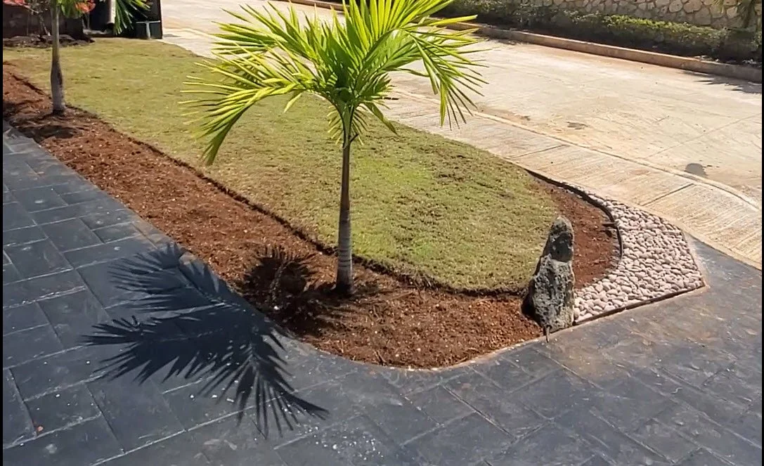 landscape-installation-palm-garden-preparation-jamaica.jpg
