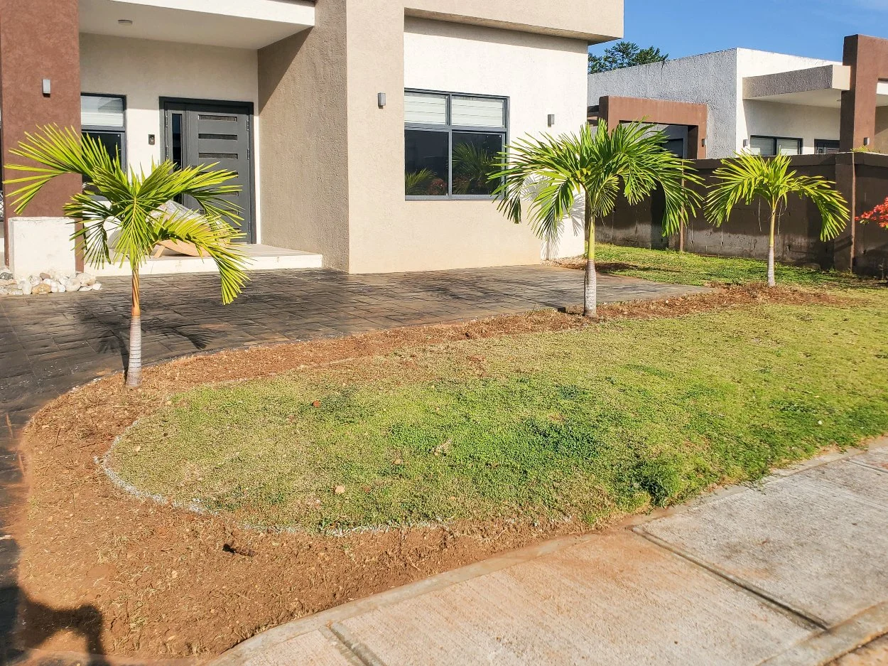front-yard-preparation-landscape-redesign-jamaica.jpg