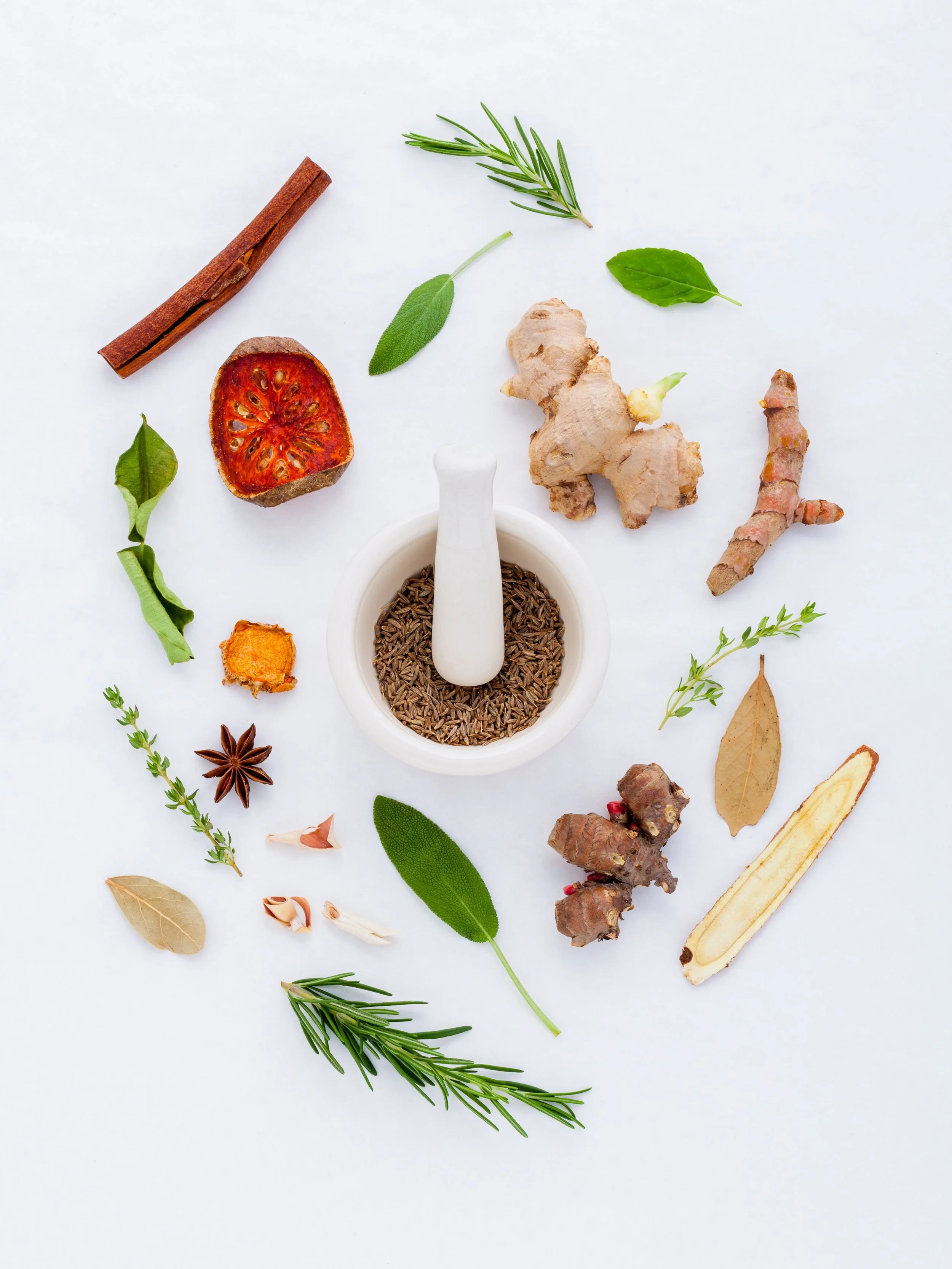Introduction to Ayurveda Workshop