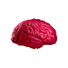 Pink brain model or sculpture