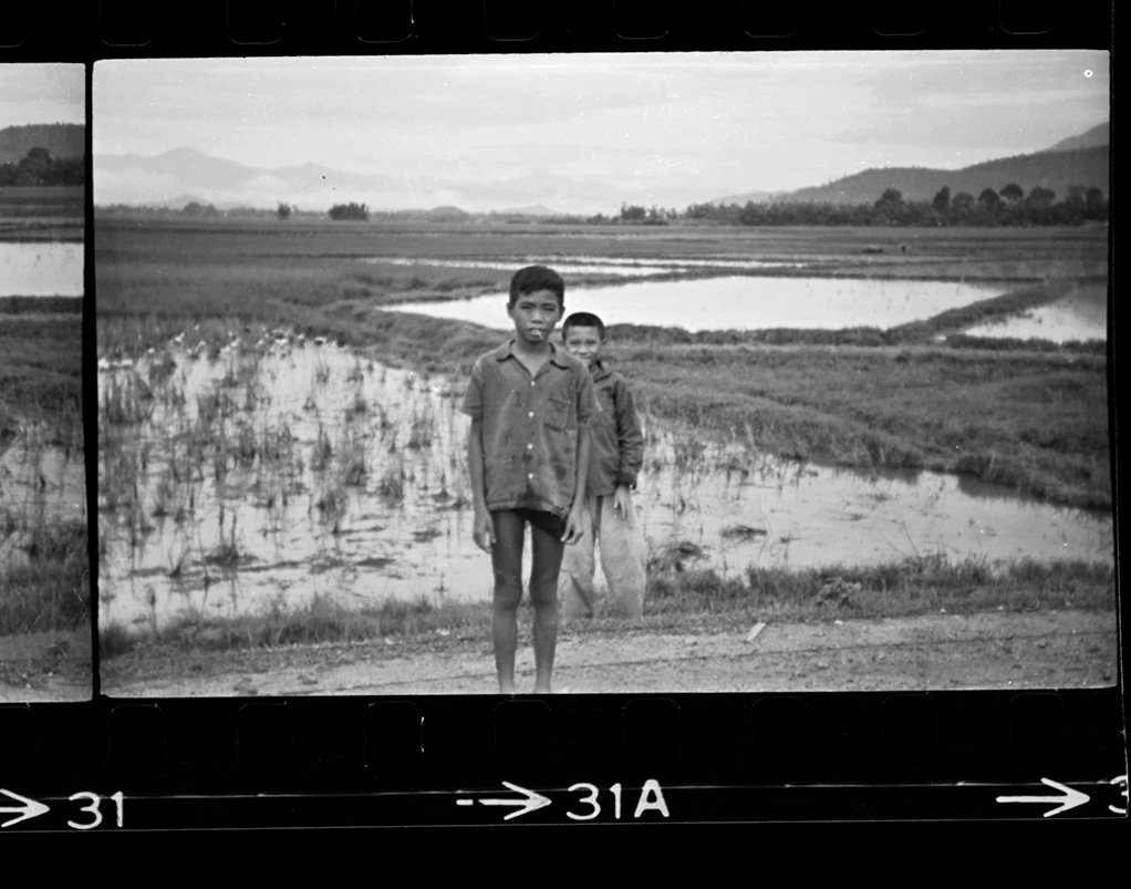 rice paddy-2.jpg