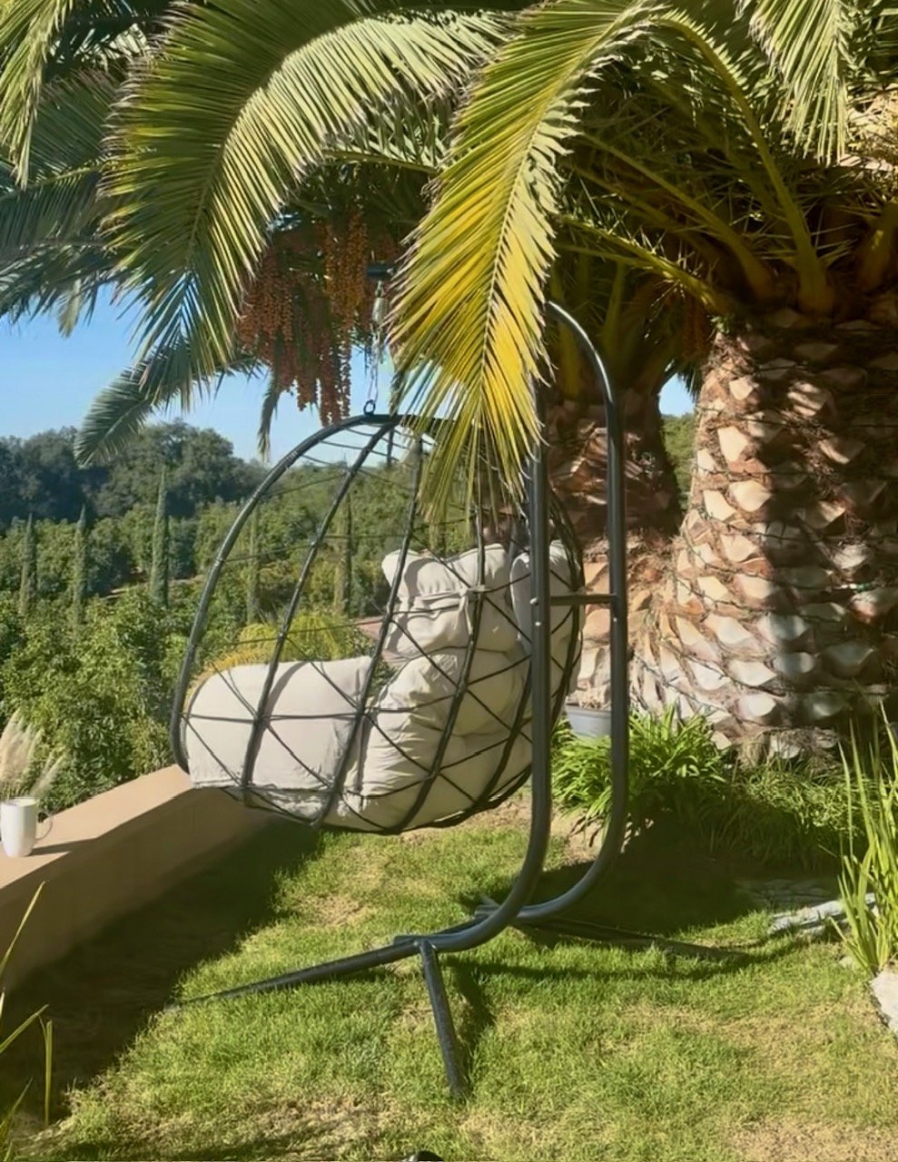 A hanging egg-shaped swing with white cushions, suspended from a black metal stand, in a garden with a large palm tree.