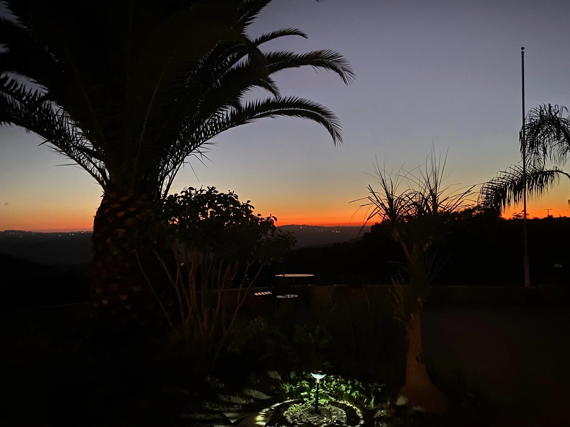 Silhouettes of palm trees and plants against a colorful sunset sky with shades of orange, yellow, and purple.