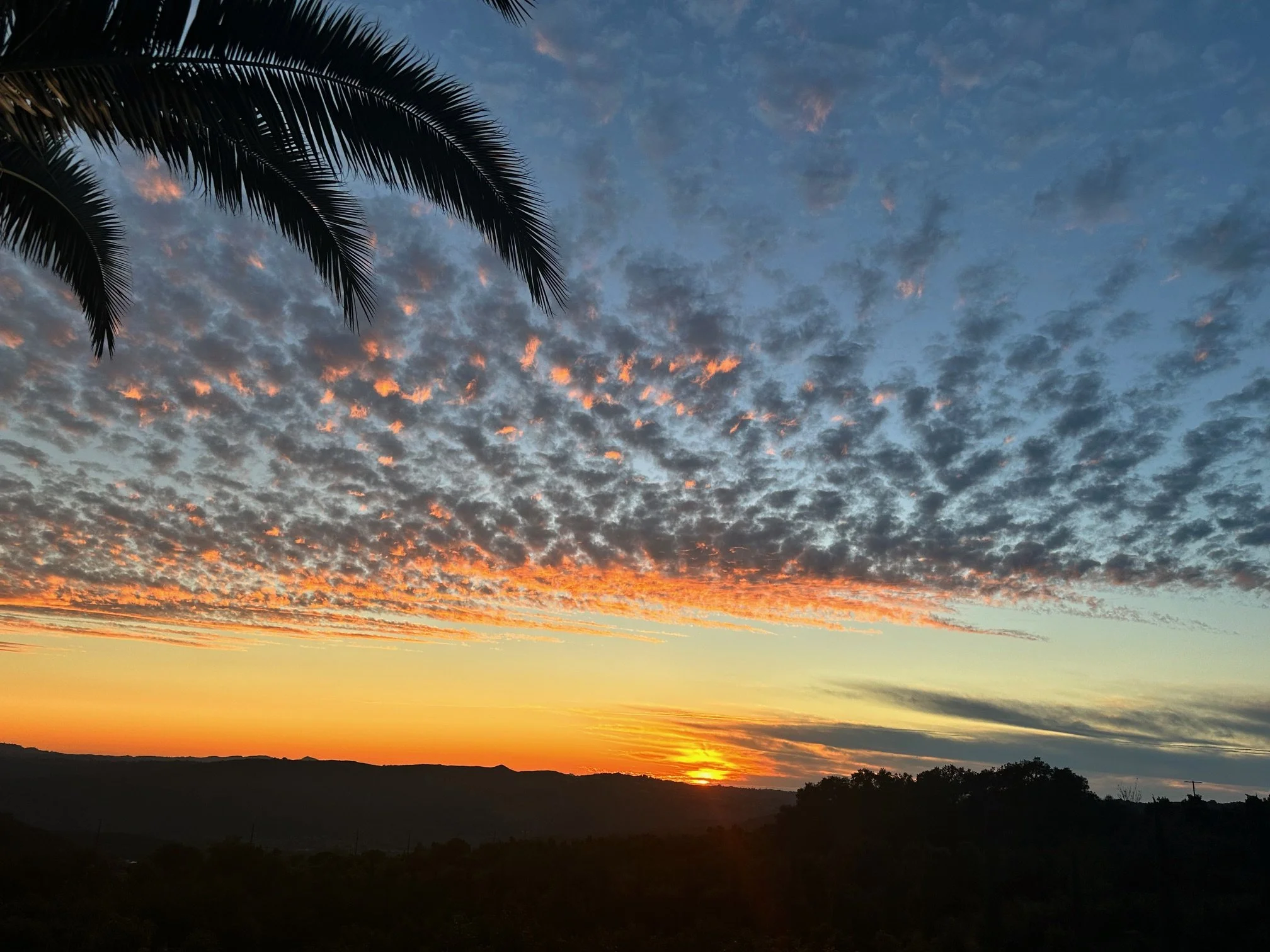 Sunset over hills with a colorful sky, scattered clouds illuminated in orange and pink hues, and a palm tree frond silhouetted in the top left corner.