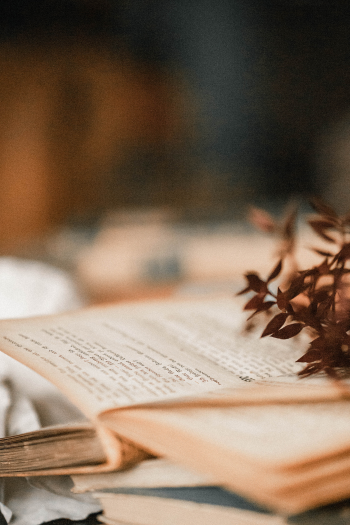 Open book with text on pages, partially obscured by a potted plant with dark leaves, on a wooden surface.