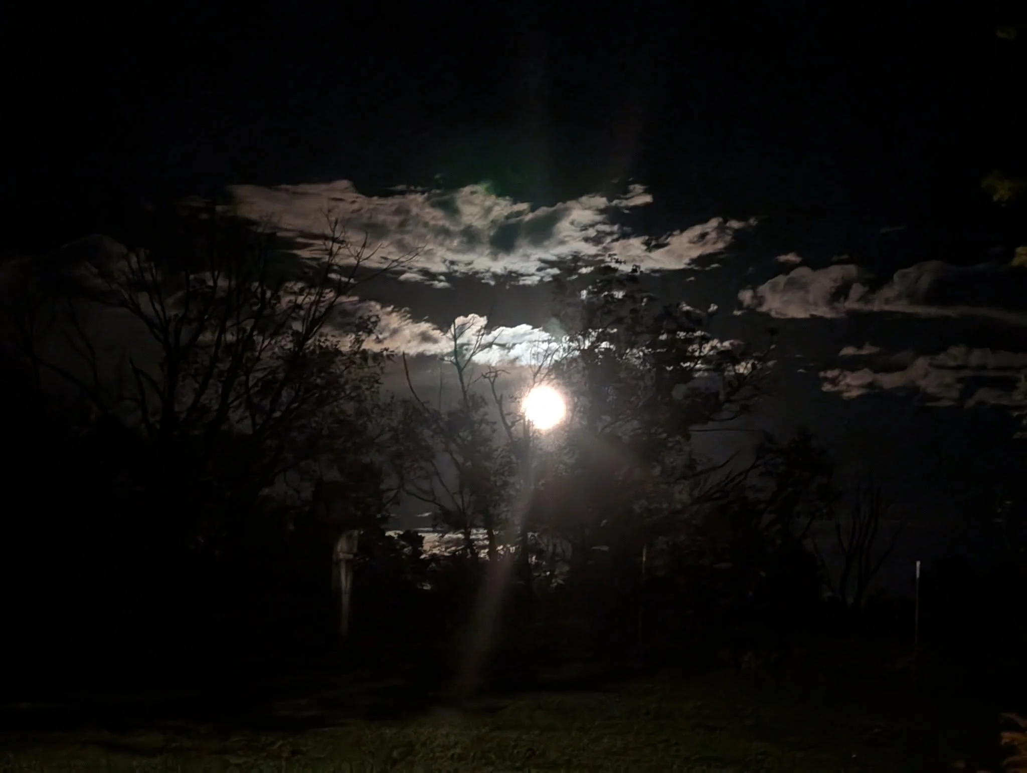 Blue Moon Ceremony