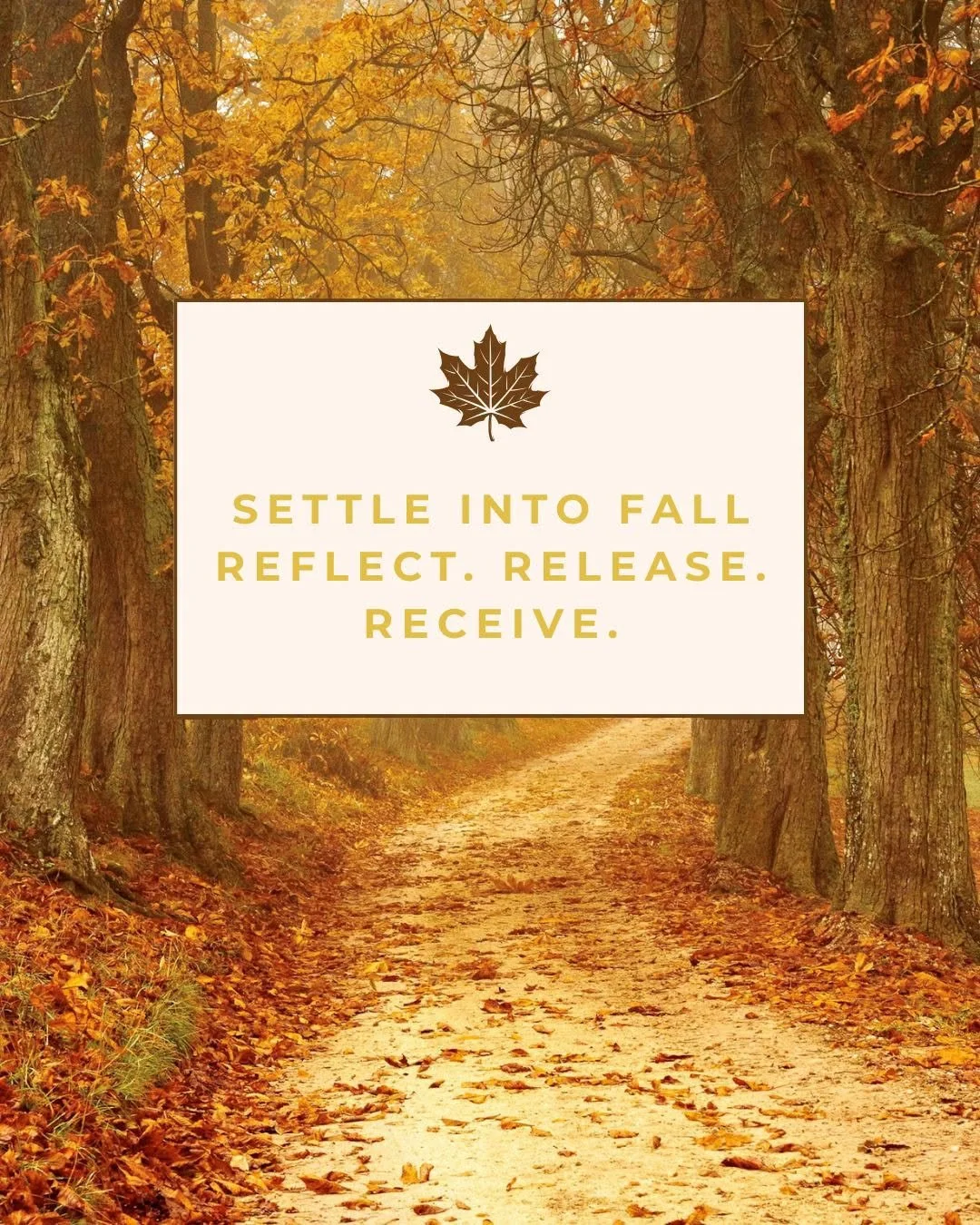Settle Into Fall