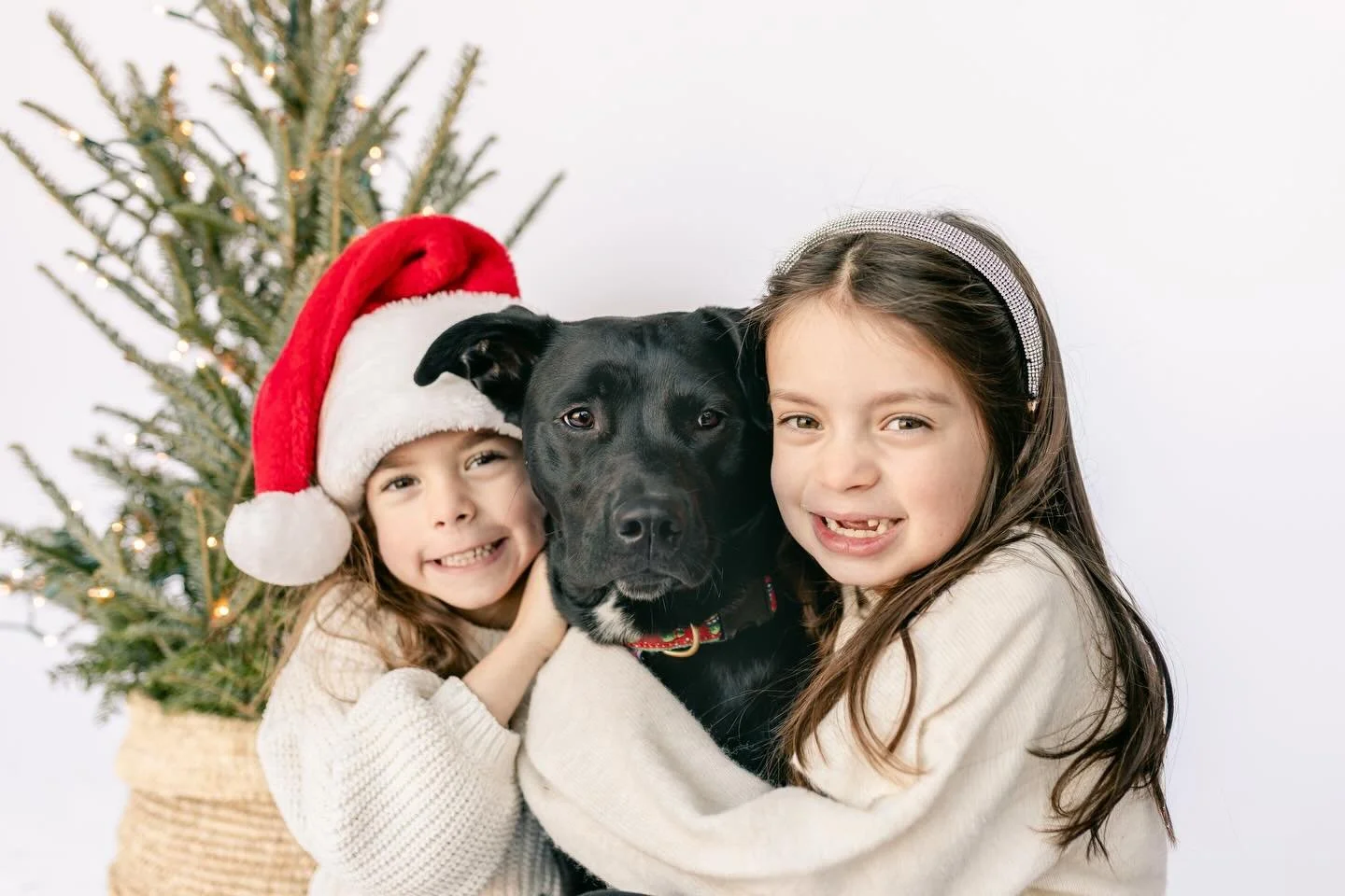 tis the season 🎄 

.
.

#MadisonCT #ConnecticutPhotographer #CTPortraits #familyphotography #personalityportraits #capturethemoment #photography #portraitphotography  #ShorelineCT