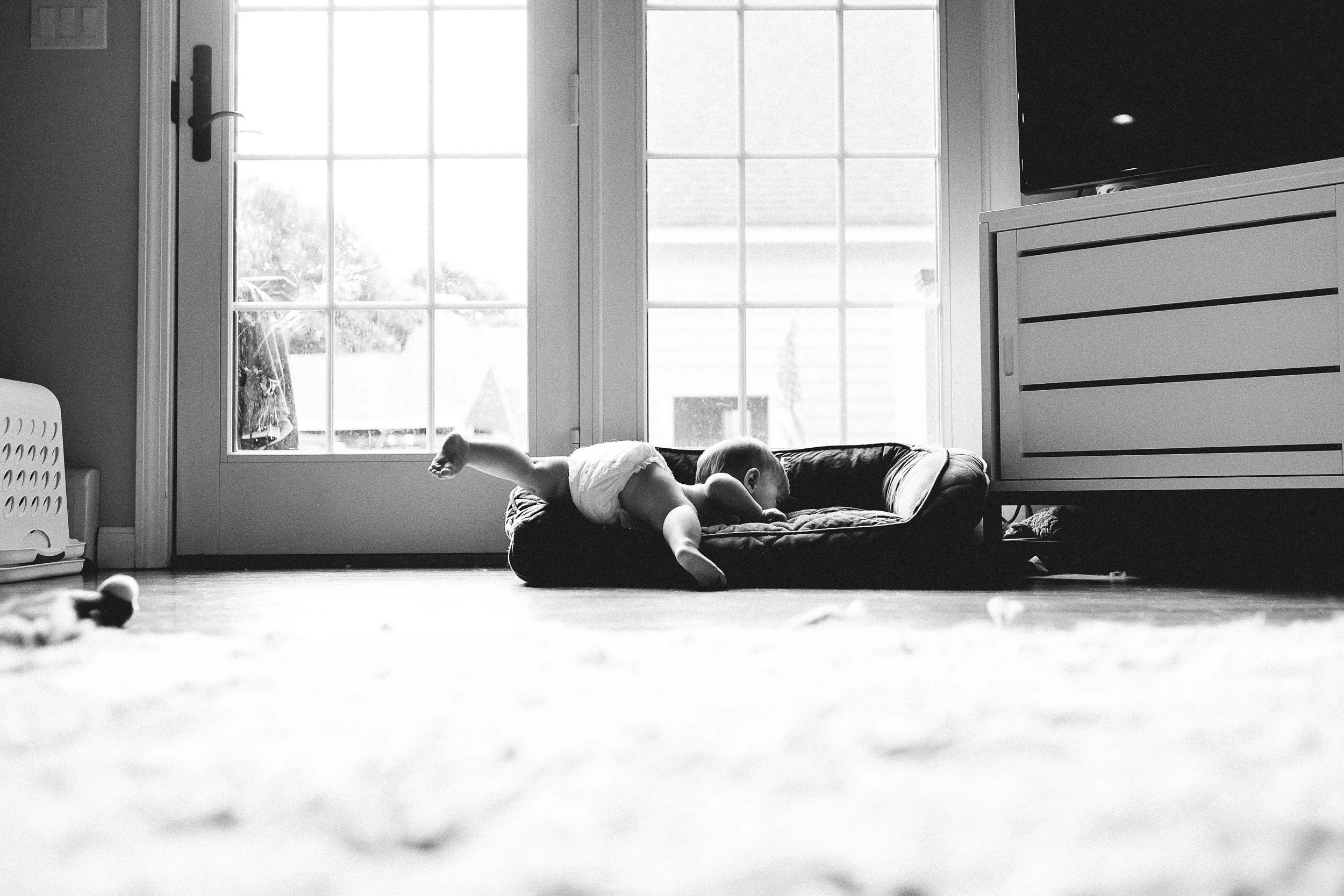 Child lying on a dog bed near glass door, with sunlight streaming in, in a room with a dresser and television.