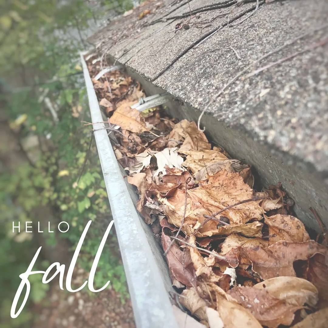 🍁🍁It’s officially fall! We are excited to welcome Pumpkin Spice Everything, Fall Festivals, Beautiful Leaves, Cozy Sweaters, and Soup Season! So many fun fall activities!!
And Gutter Cleanings. Don’t forget the gutter cleanings! But we